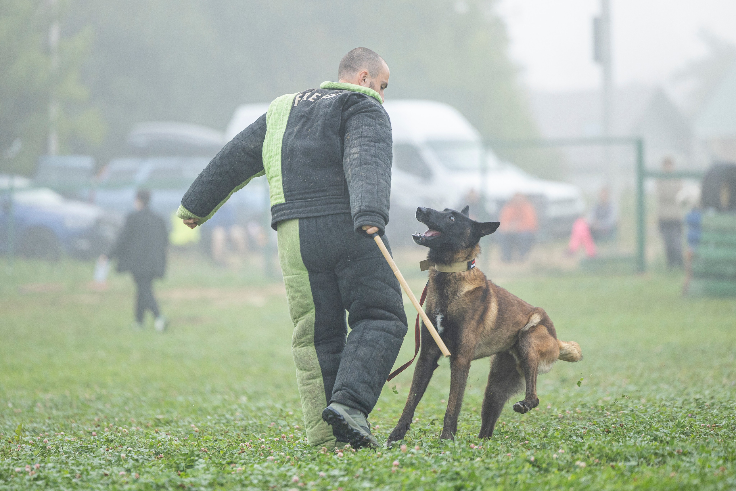 Соревнования по Мондьорингу г. Вологда 10-11.08.2024. Фотограф-анималист Анна Маринич