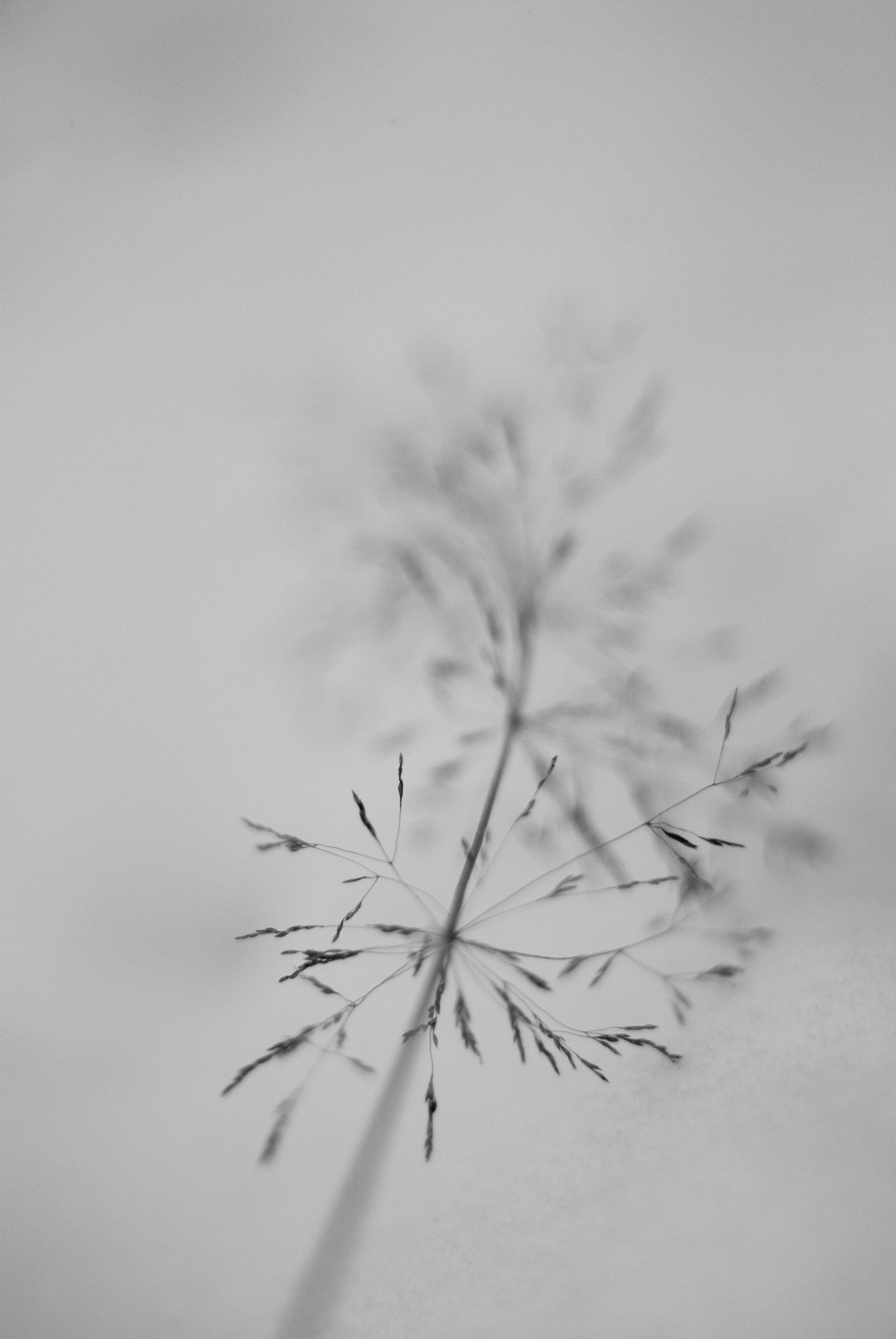 Внутривенные сны (2018-2023)