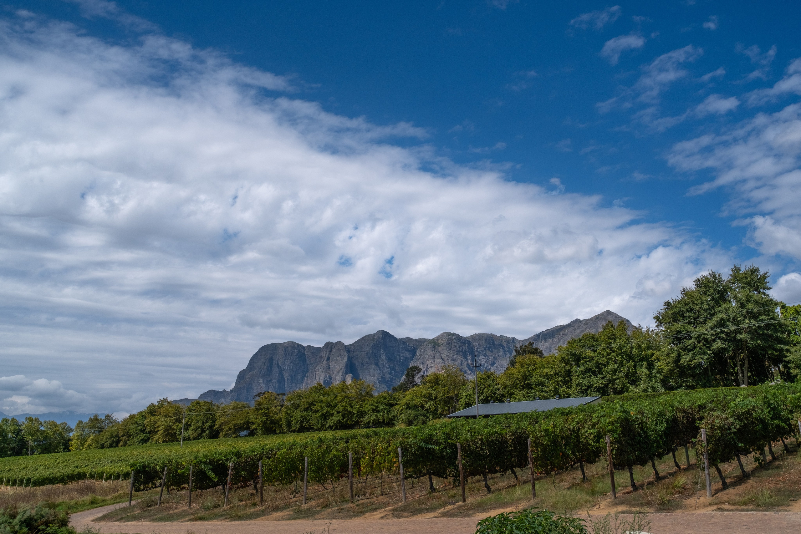 Тауншип и столовая гора. Фотографии из путешествий