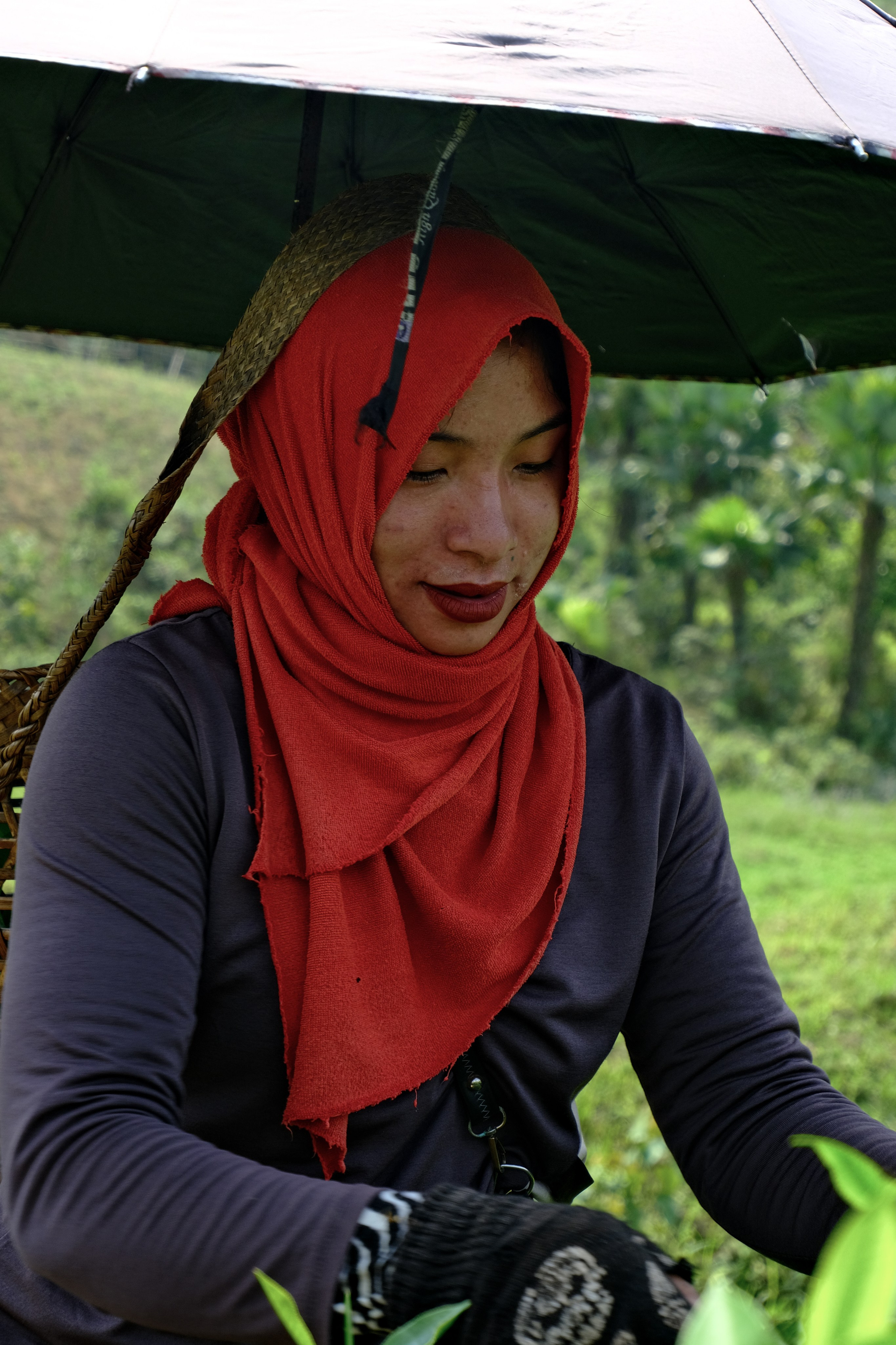 Ассам и Казиранга. Фотографии из путешествий