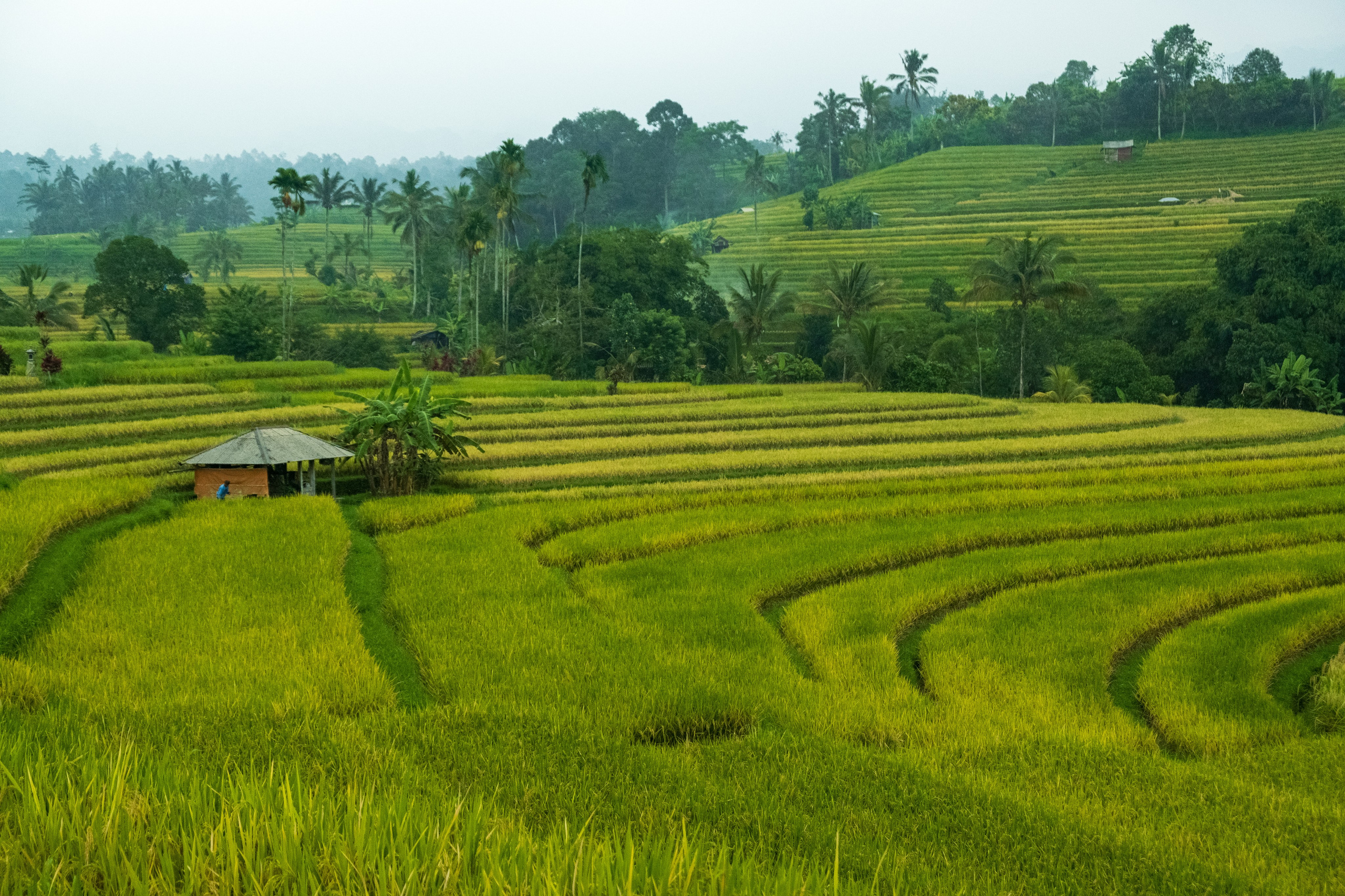 Остров Бали. Фотографии из путешествий