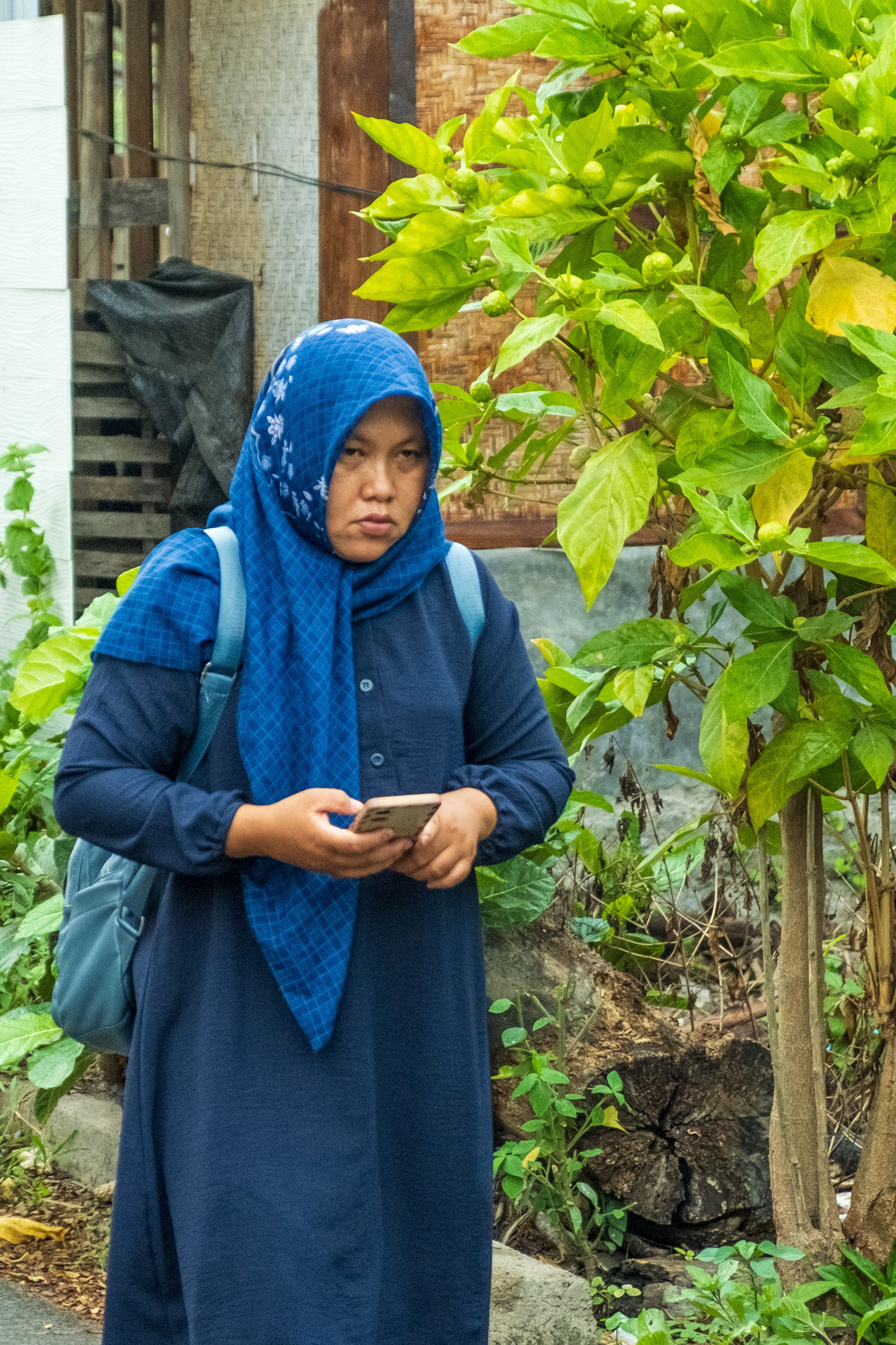 Остров Гили Эйр. Фотографии из путешествий