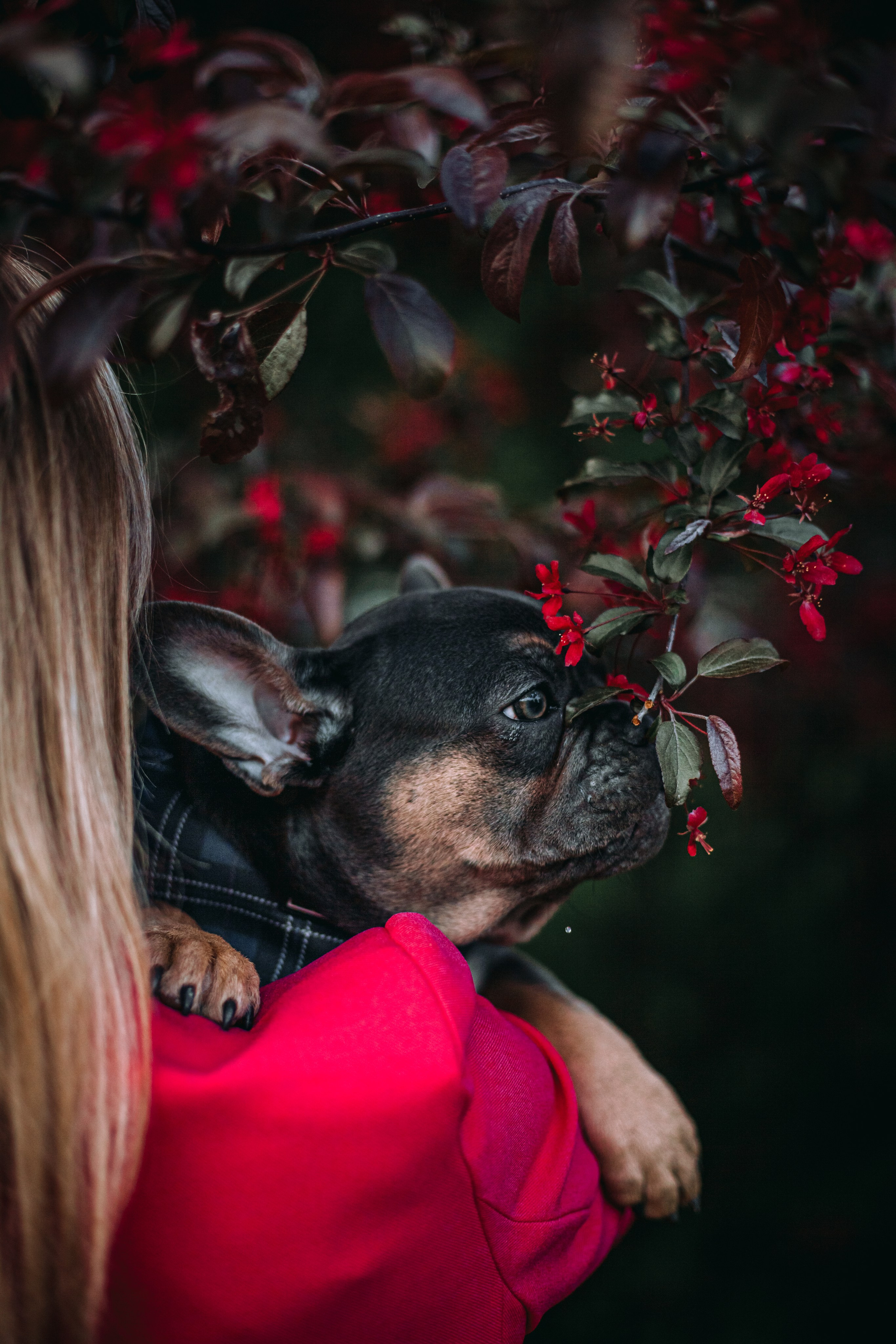 Даша и Мишель. Фотограф-анималист Татьяна Степанова