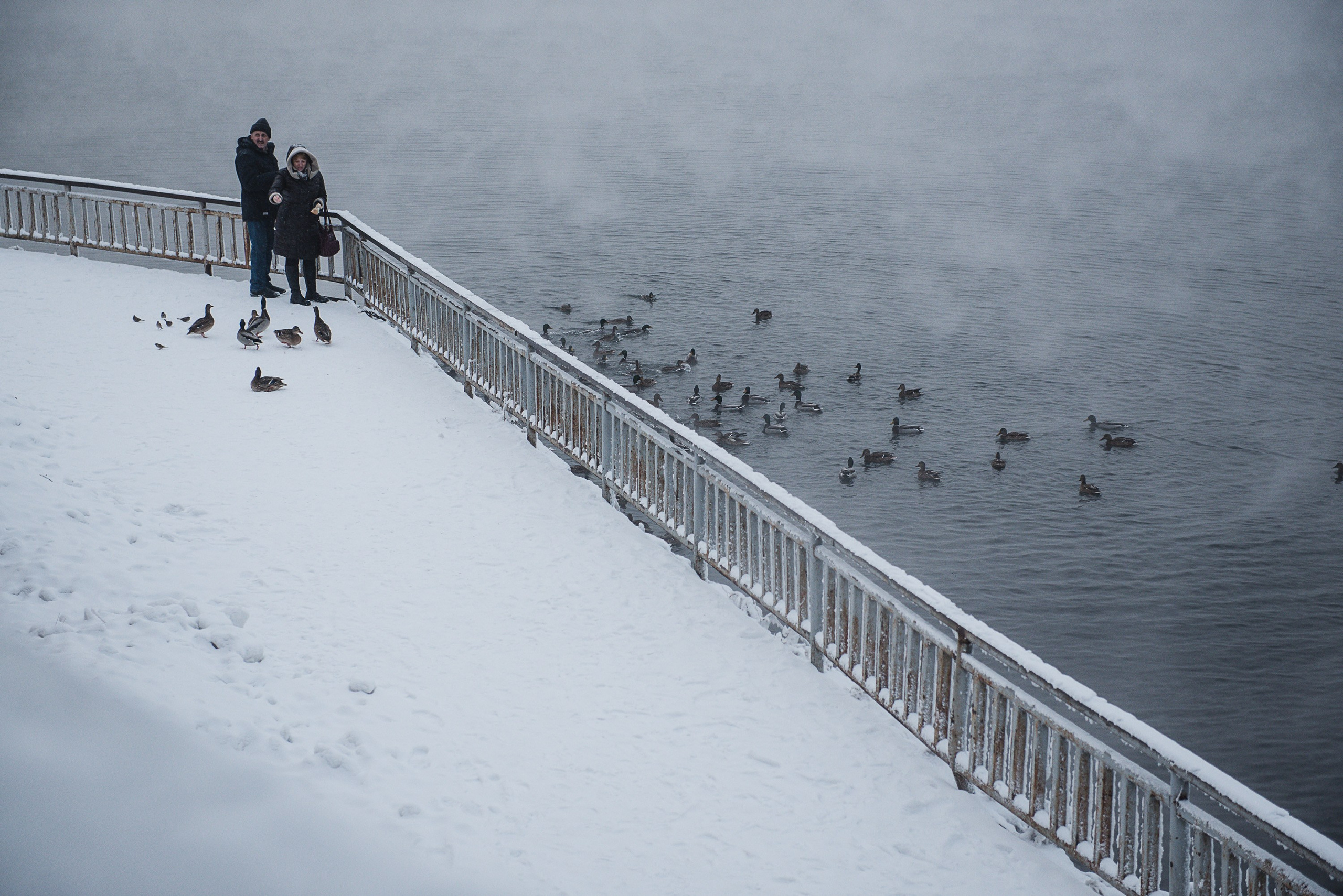 РЕПОРТАЖИ/ФОТО ДЛЯ СМИ. Фотограф