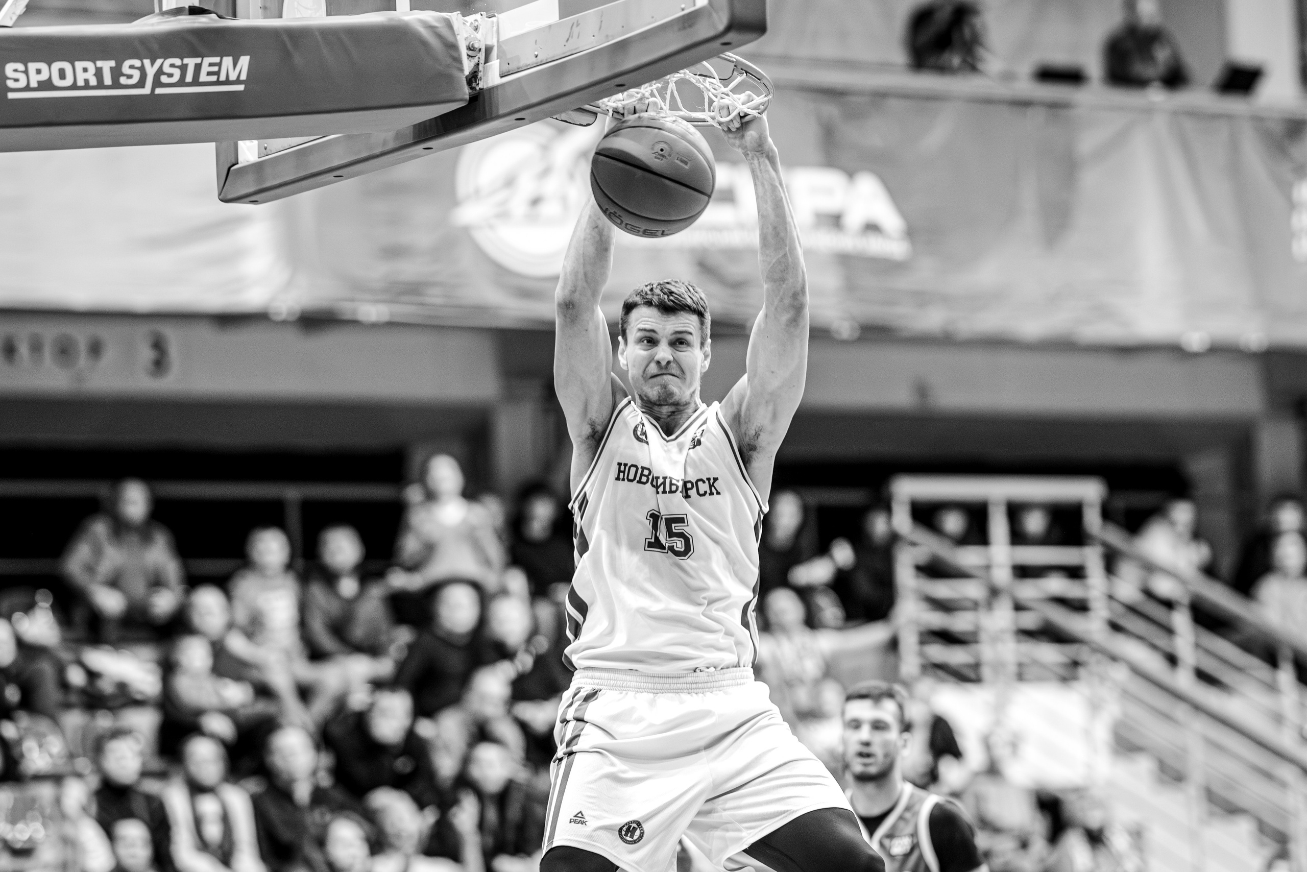 БК Новосибирск. Bertran Ordo