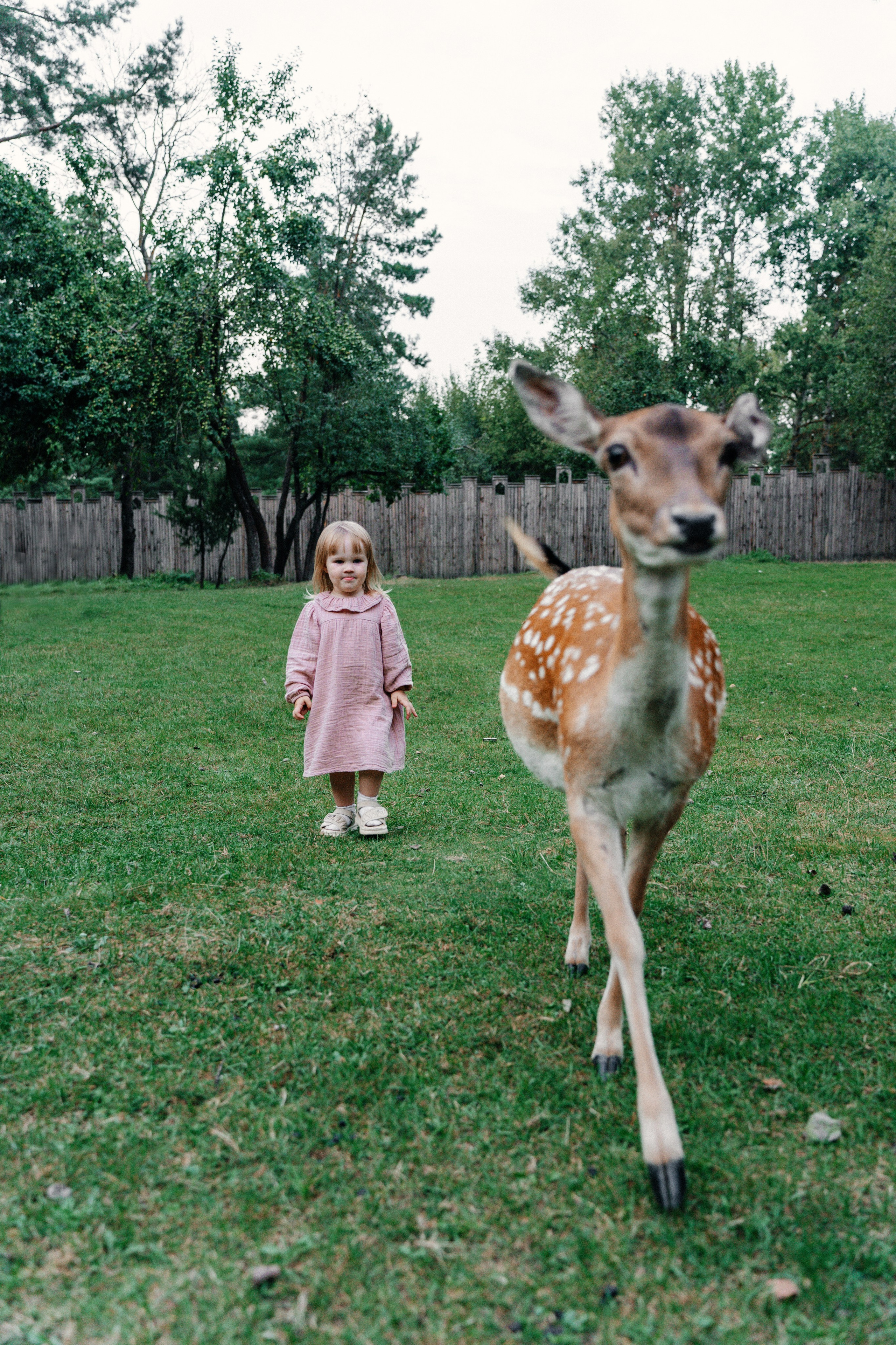 Диприз — в мире диких животных. Ваш семейный фотограф в Минске — Вика Трегубова