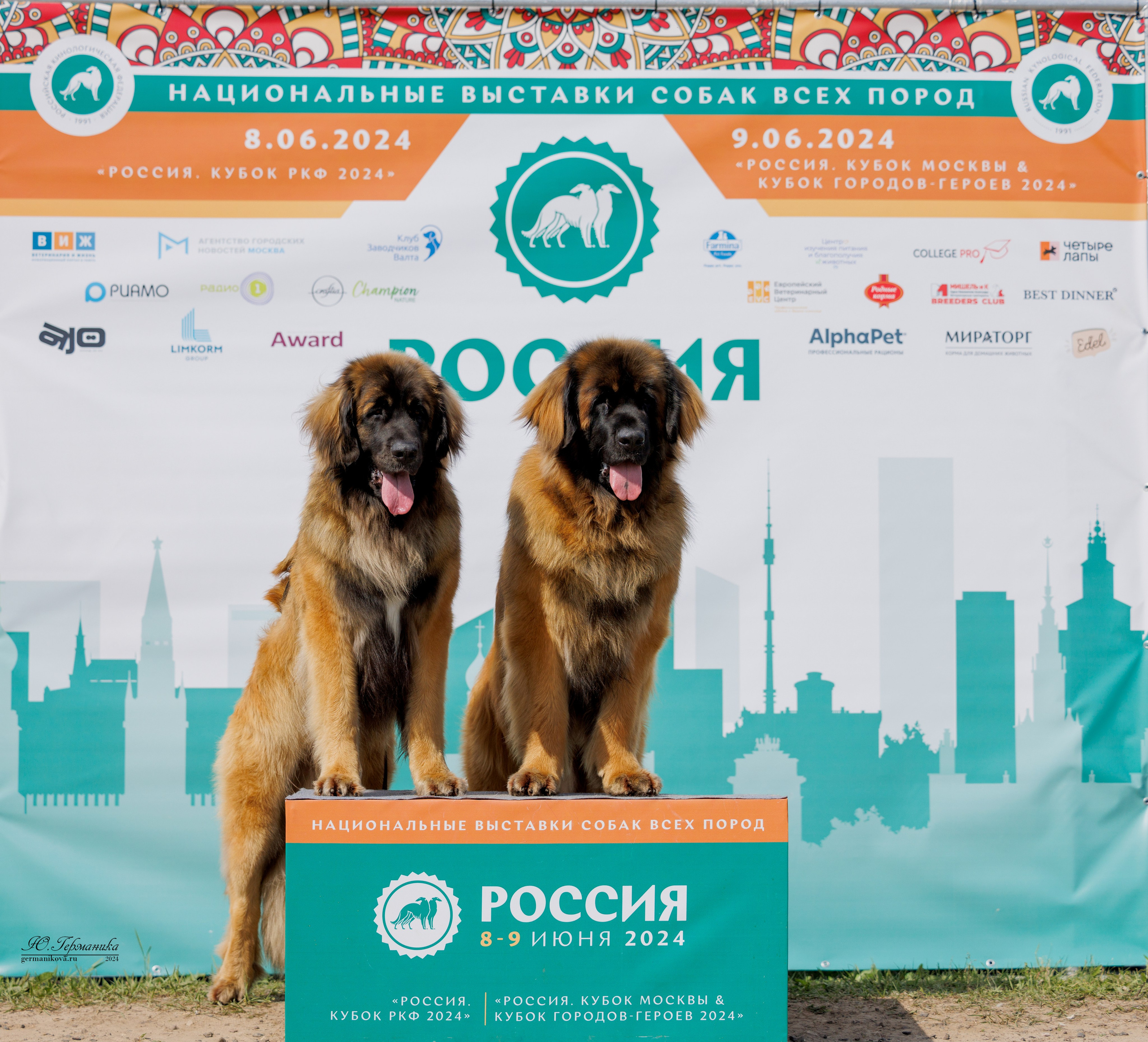 РОССИЯ 8-9.06.2024. Фотограф-анималист Юлия Германика