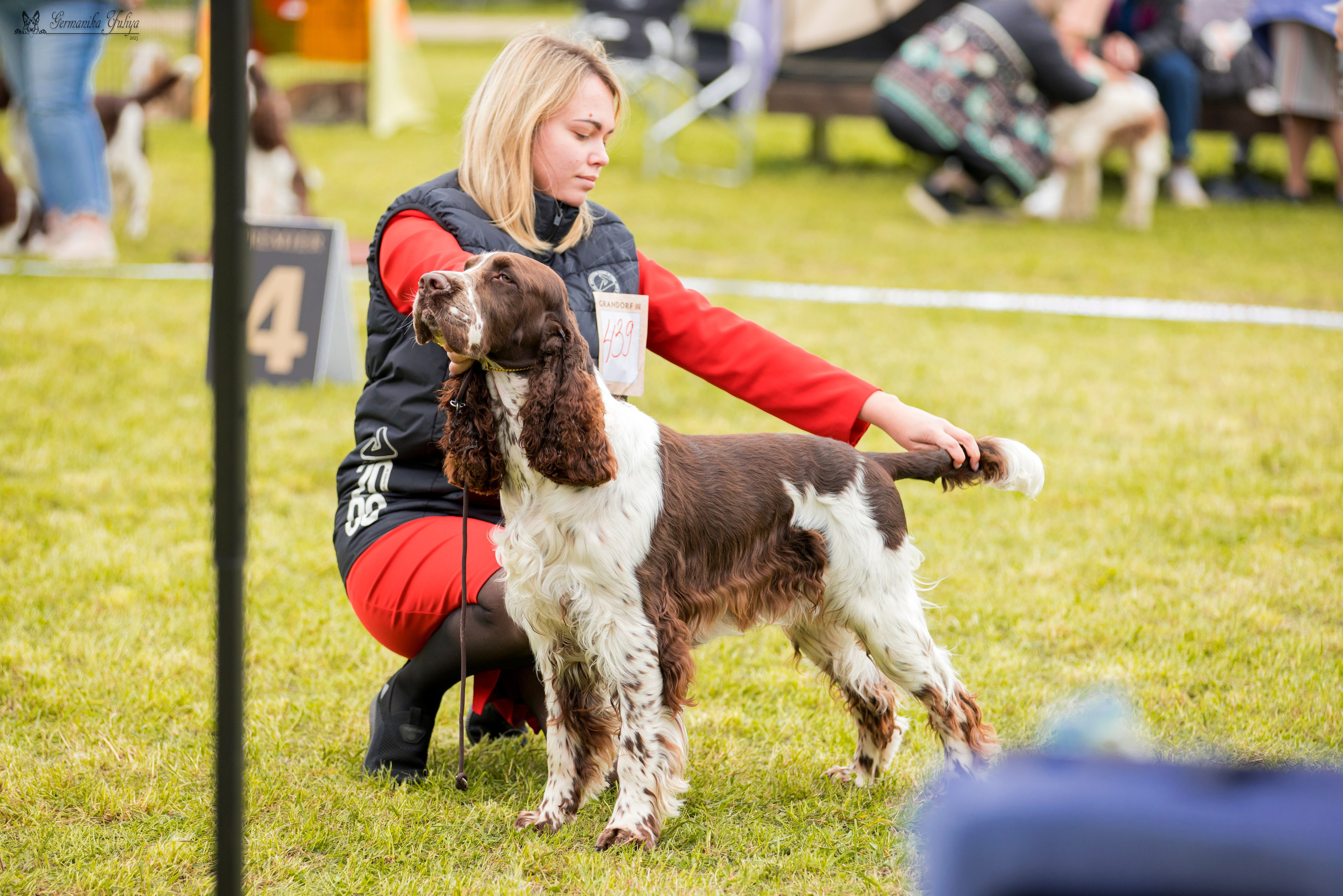 Переславль 9-10.09.2023. Фотограф-анималист Юлия Германика