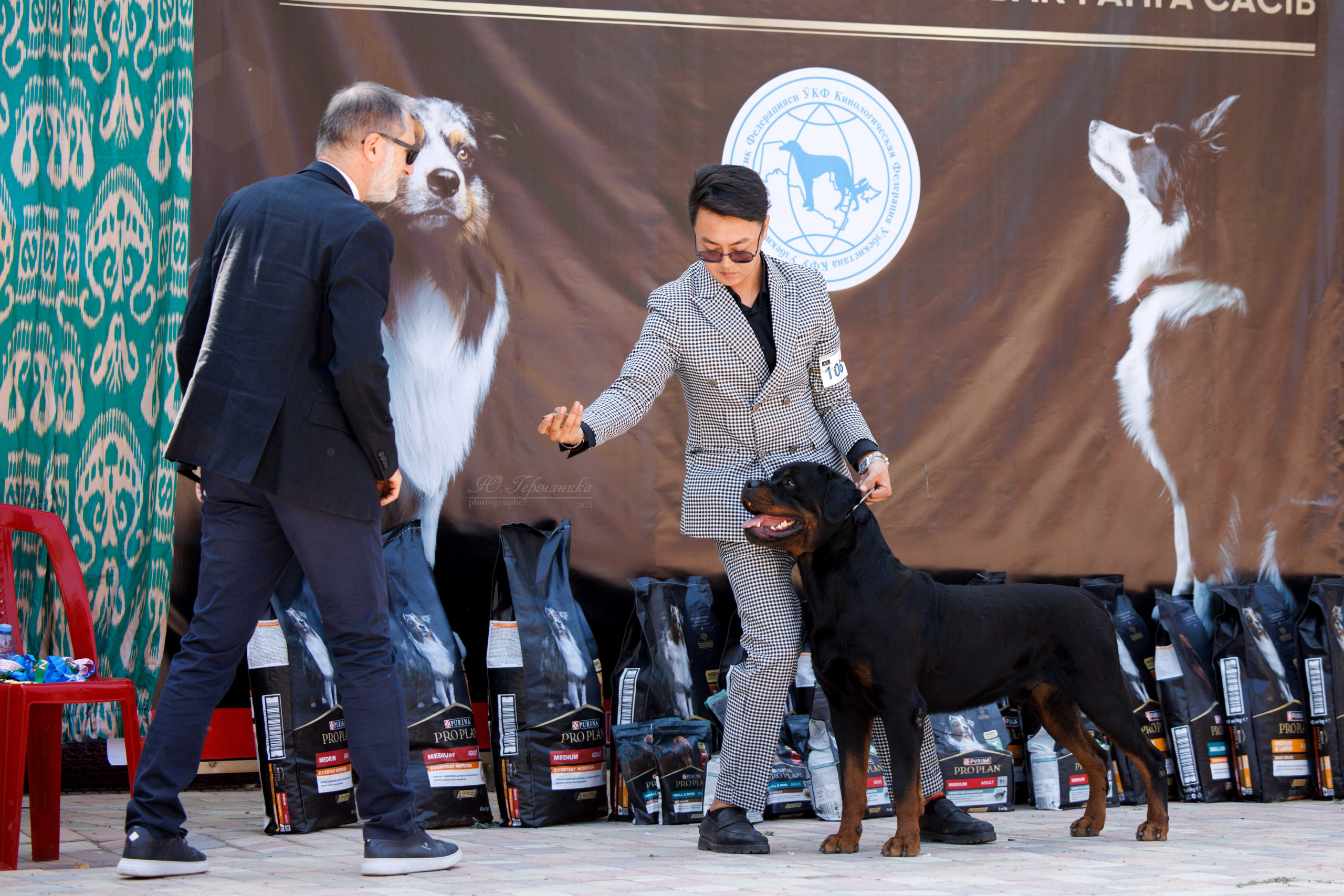 Ташкент 3хCACIB 3-5.10.2025. Фотограф-анималист Юлия Германика