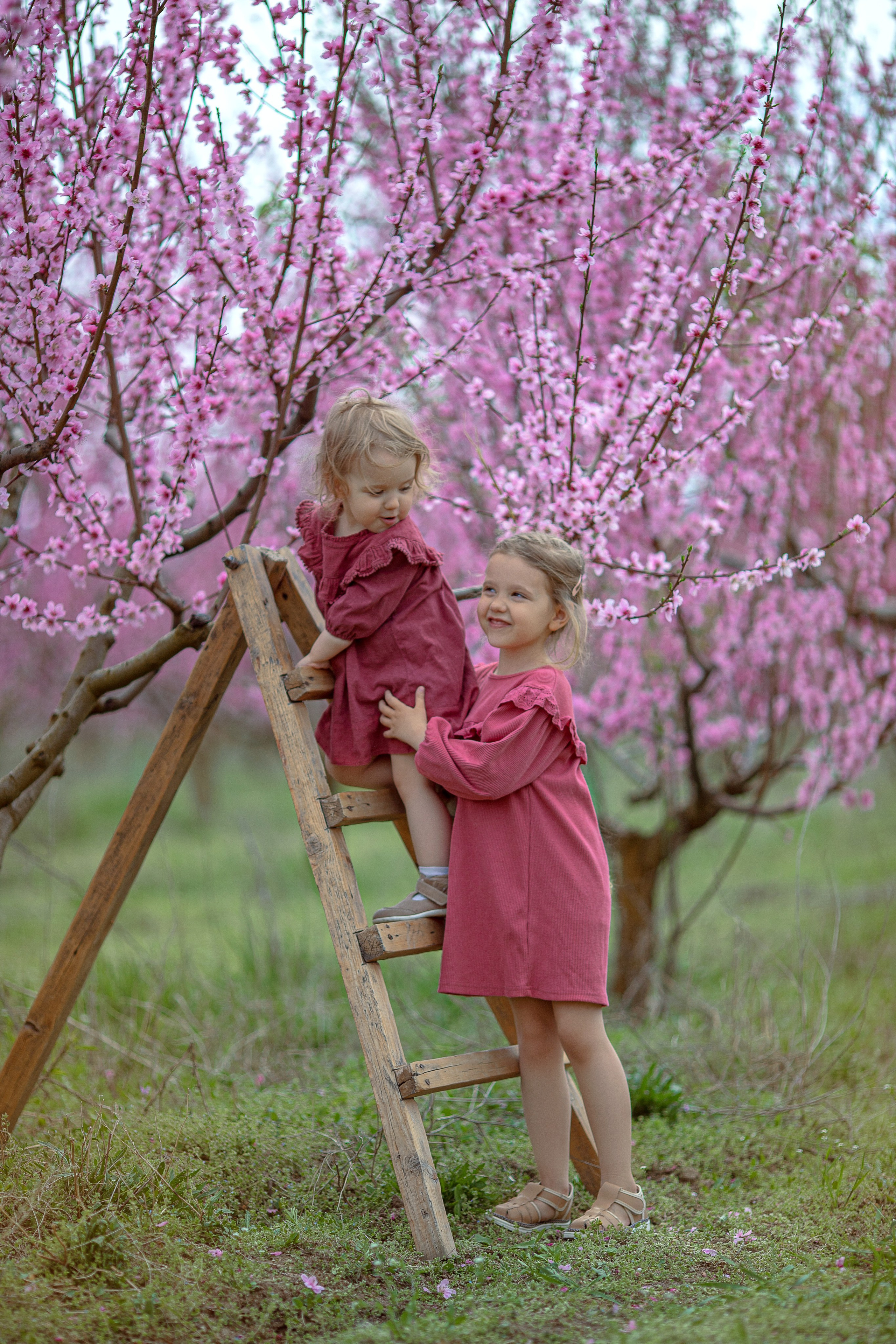 Цветущие персики 2024 г. Семейный и детский фотограф в Крыму Екатерина Швец