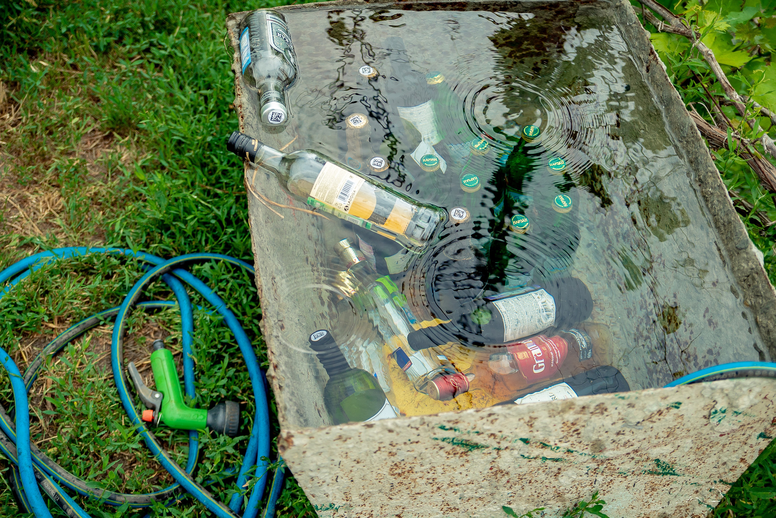 Милое торжество. Максим Матвийченко и Виктория Басова профессионалы своего дела