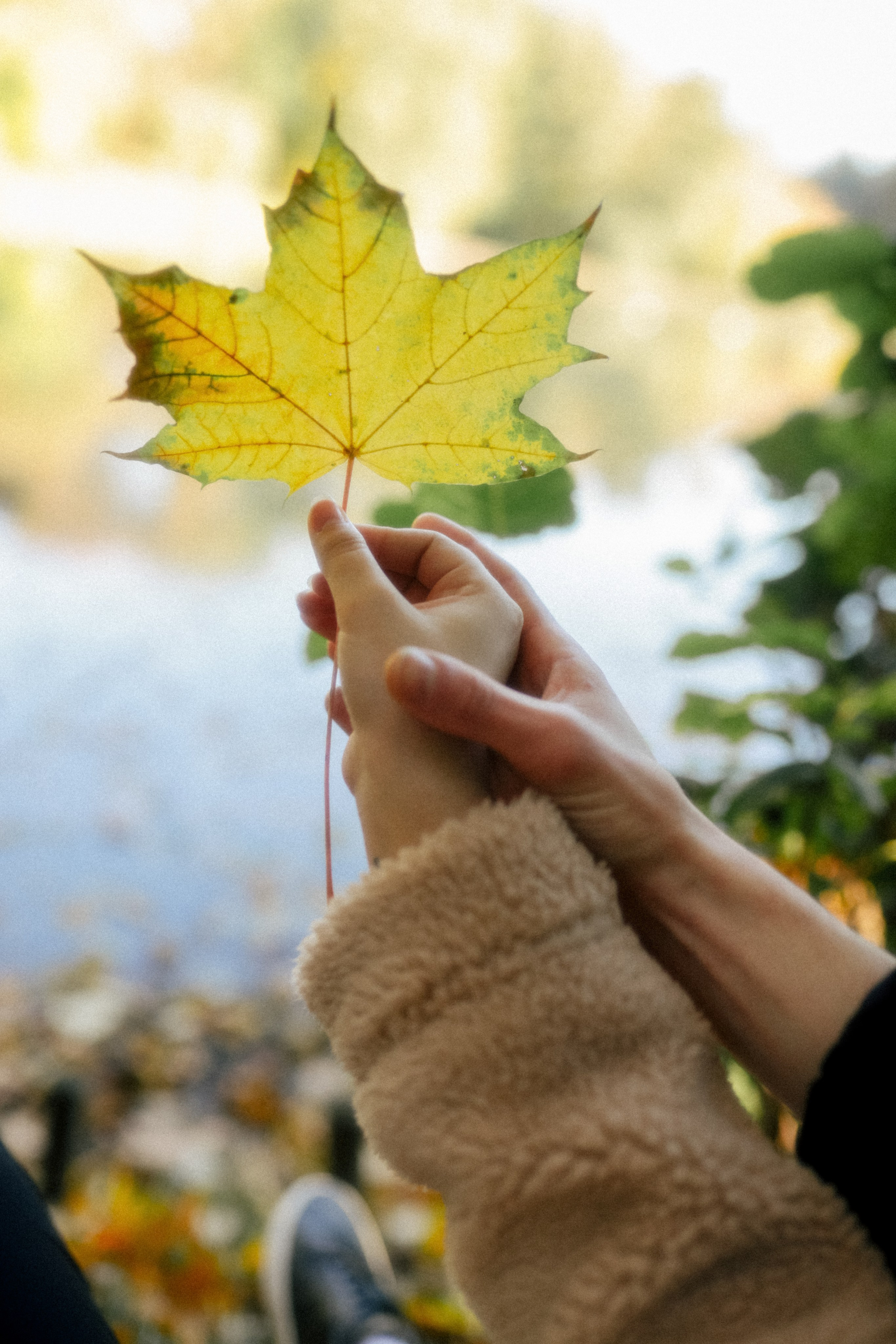 Осень в объятиях. Свадебный и семейный фотограф в Варшаве