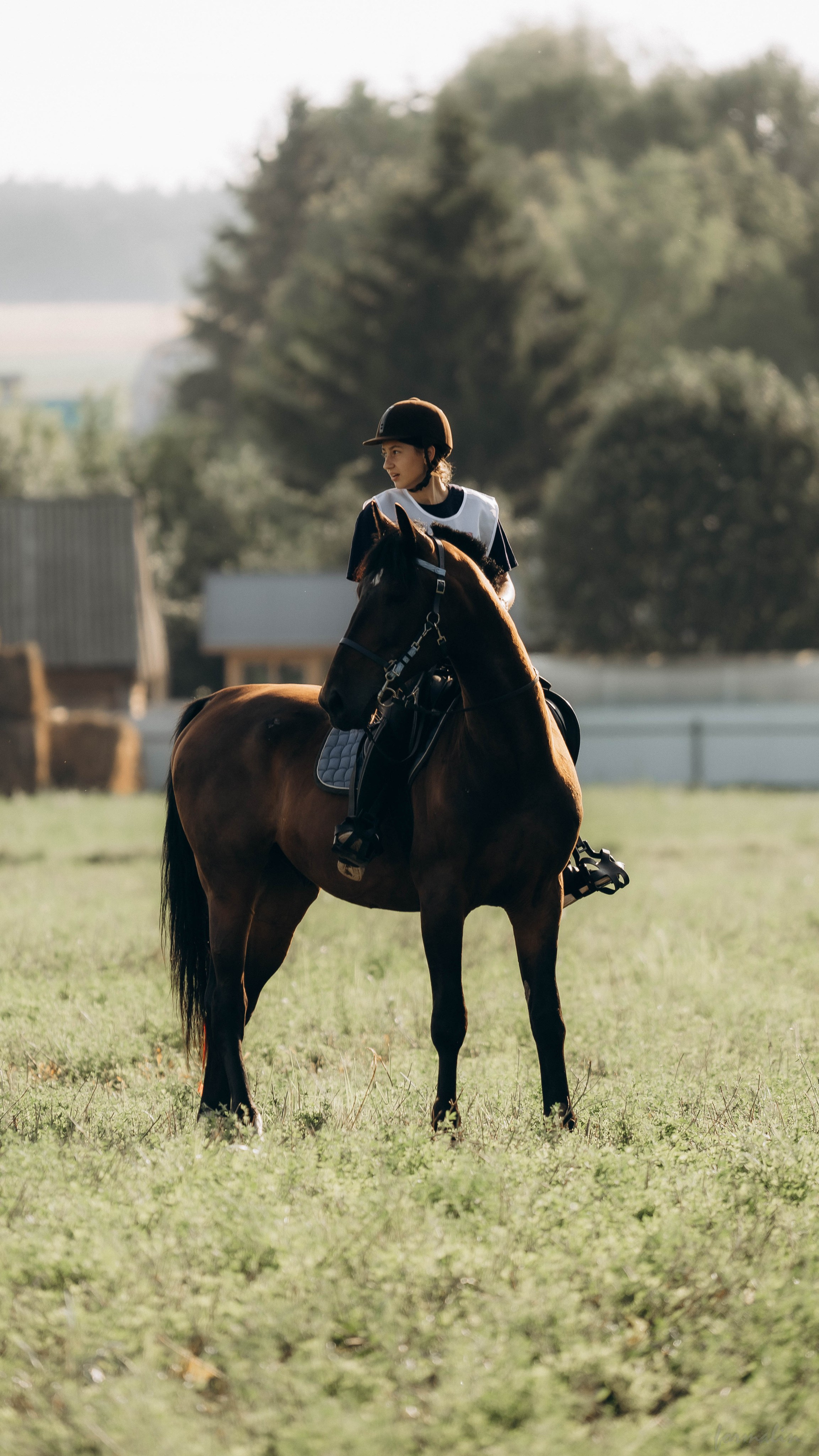 День Коня. Алиса Никитцова | Фотограф в Казани