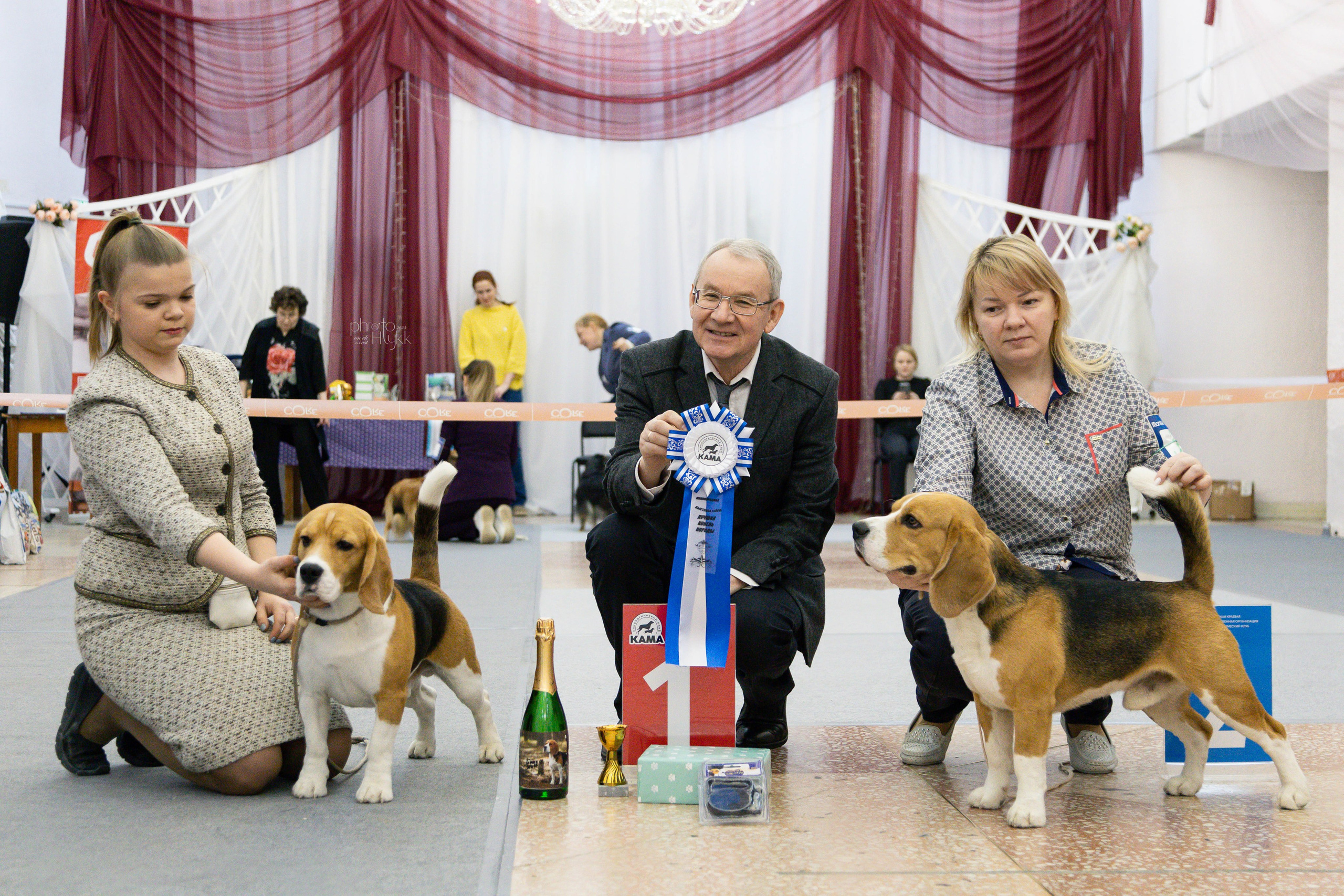 31 марта 2024, Выставка РКФ, г. Пермь. Htykk_photo
