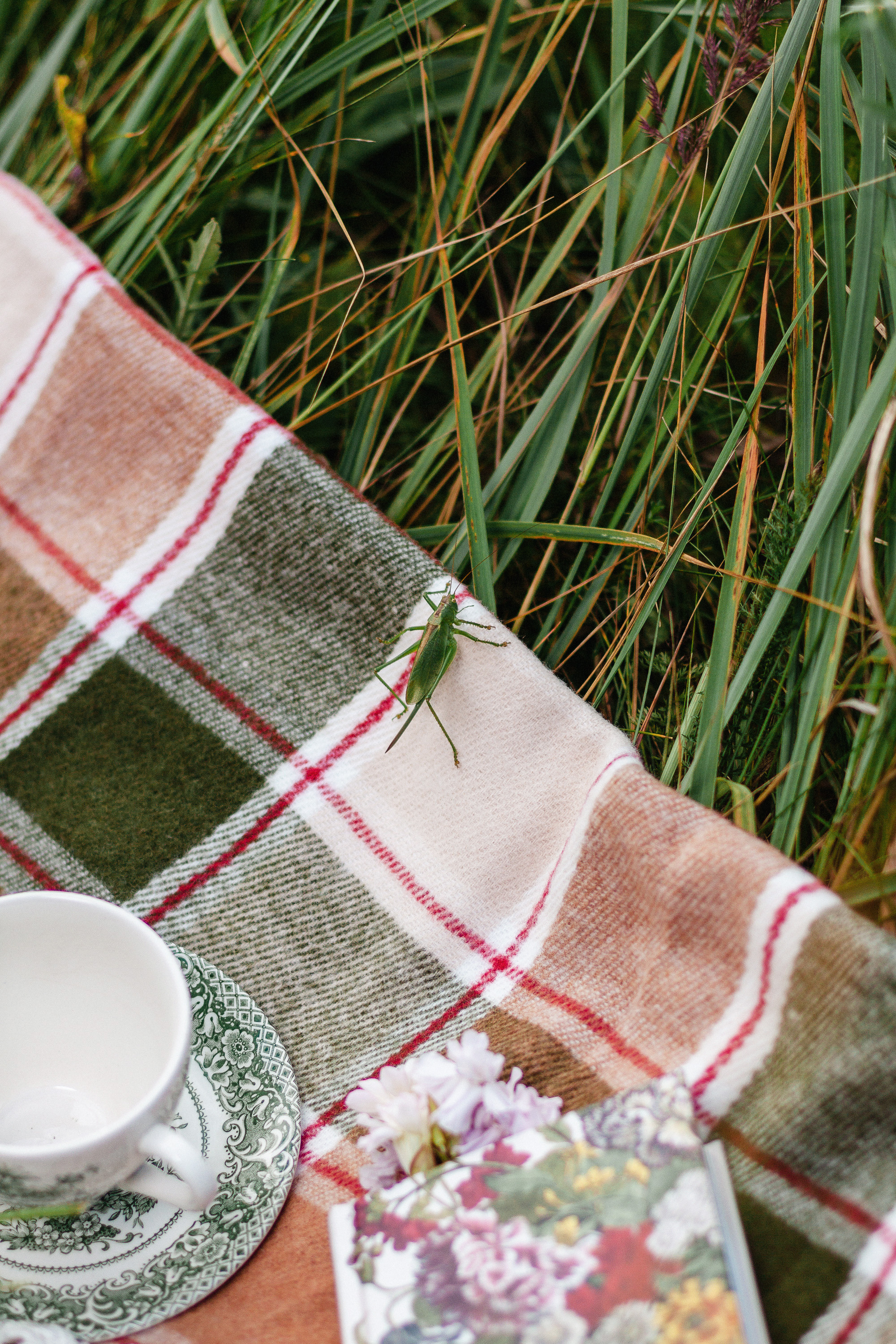 Маша. Пикник в первомайской роще. Артем Ершов. Фотограф, Тверь