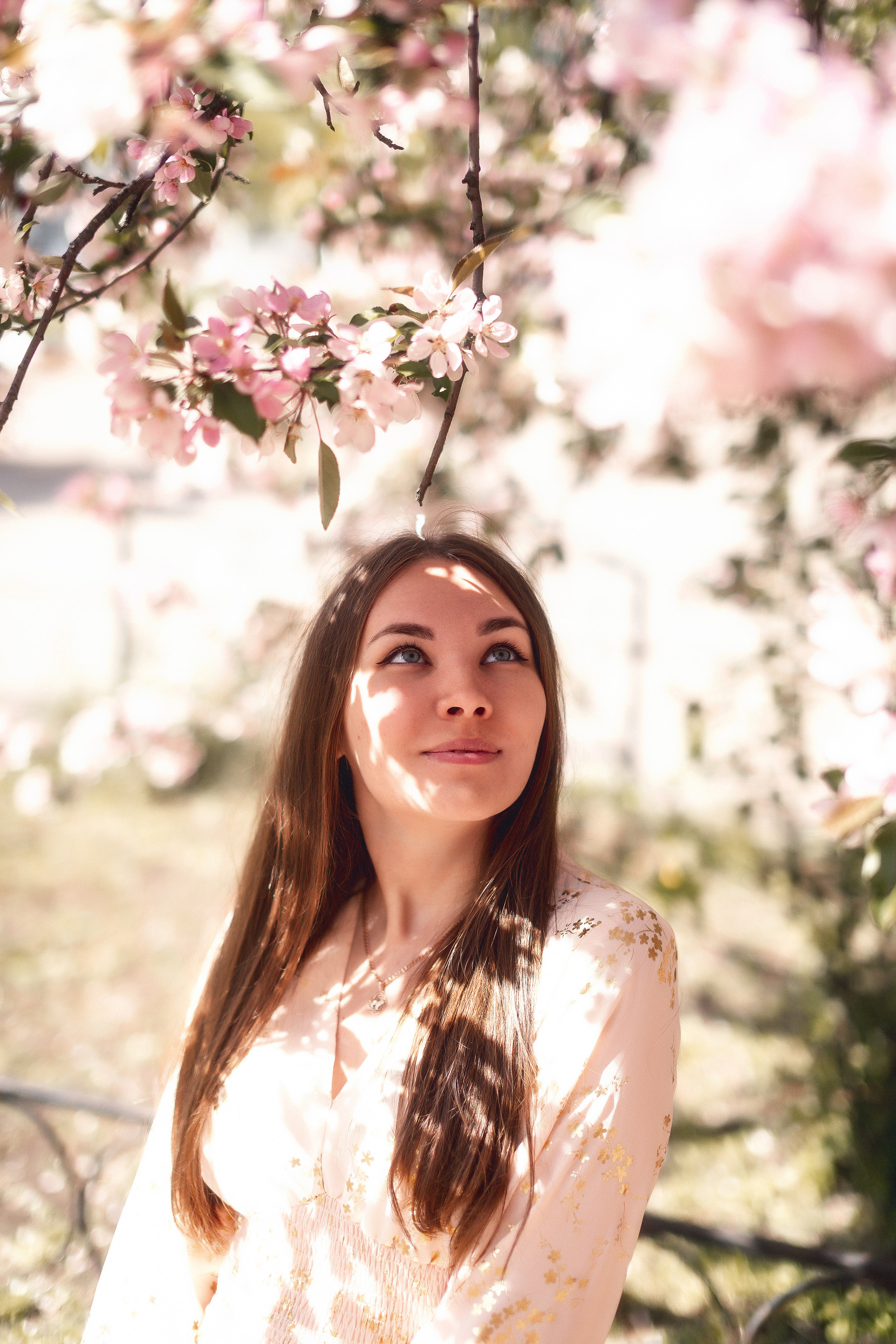 Цветущая яблоня и одуванчики. Ксюша. Артем Ершов. Фотограф, Тверь