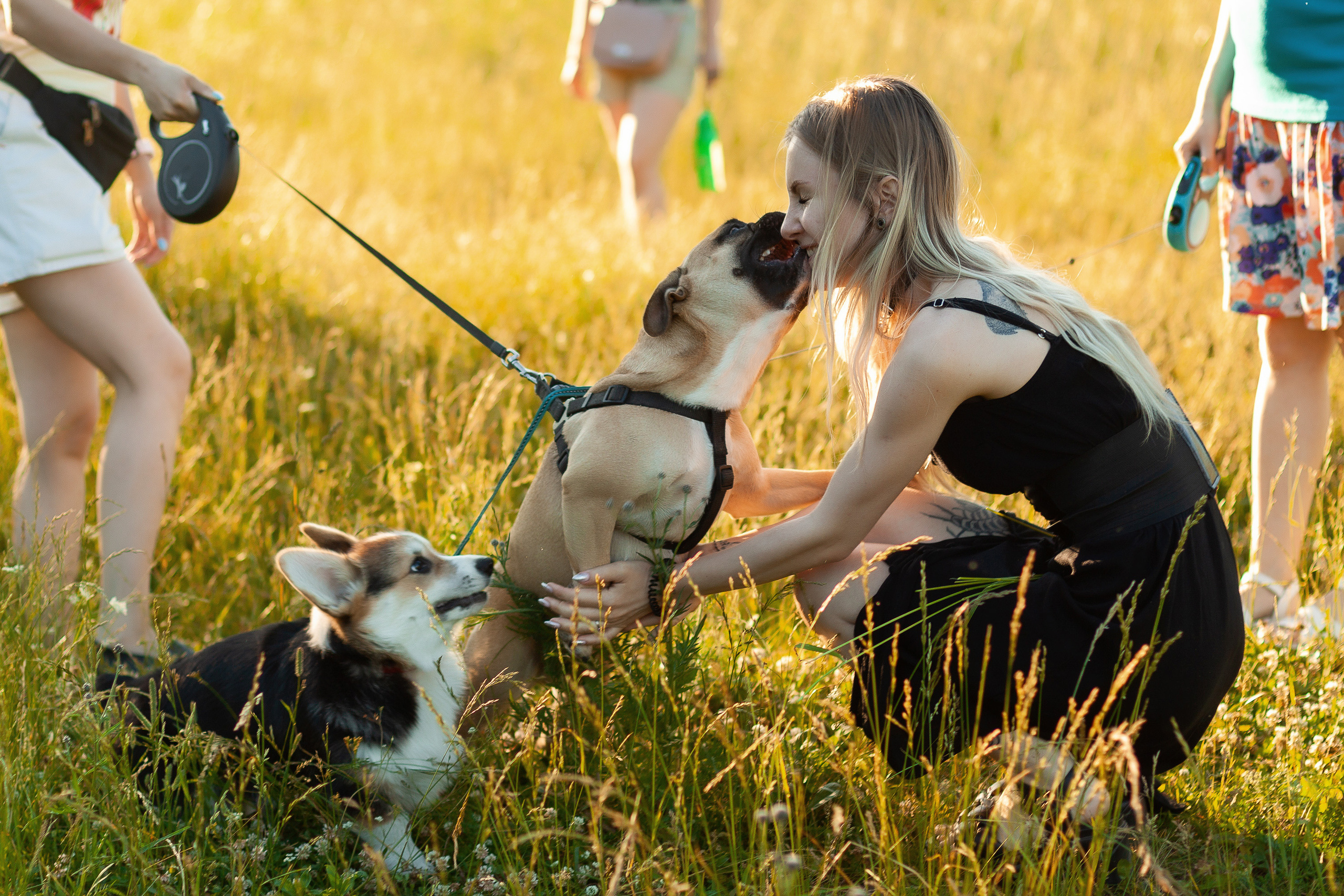 Love Story. Лиза и Андрей. Артем Ершов. Фотограф, Тверь