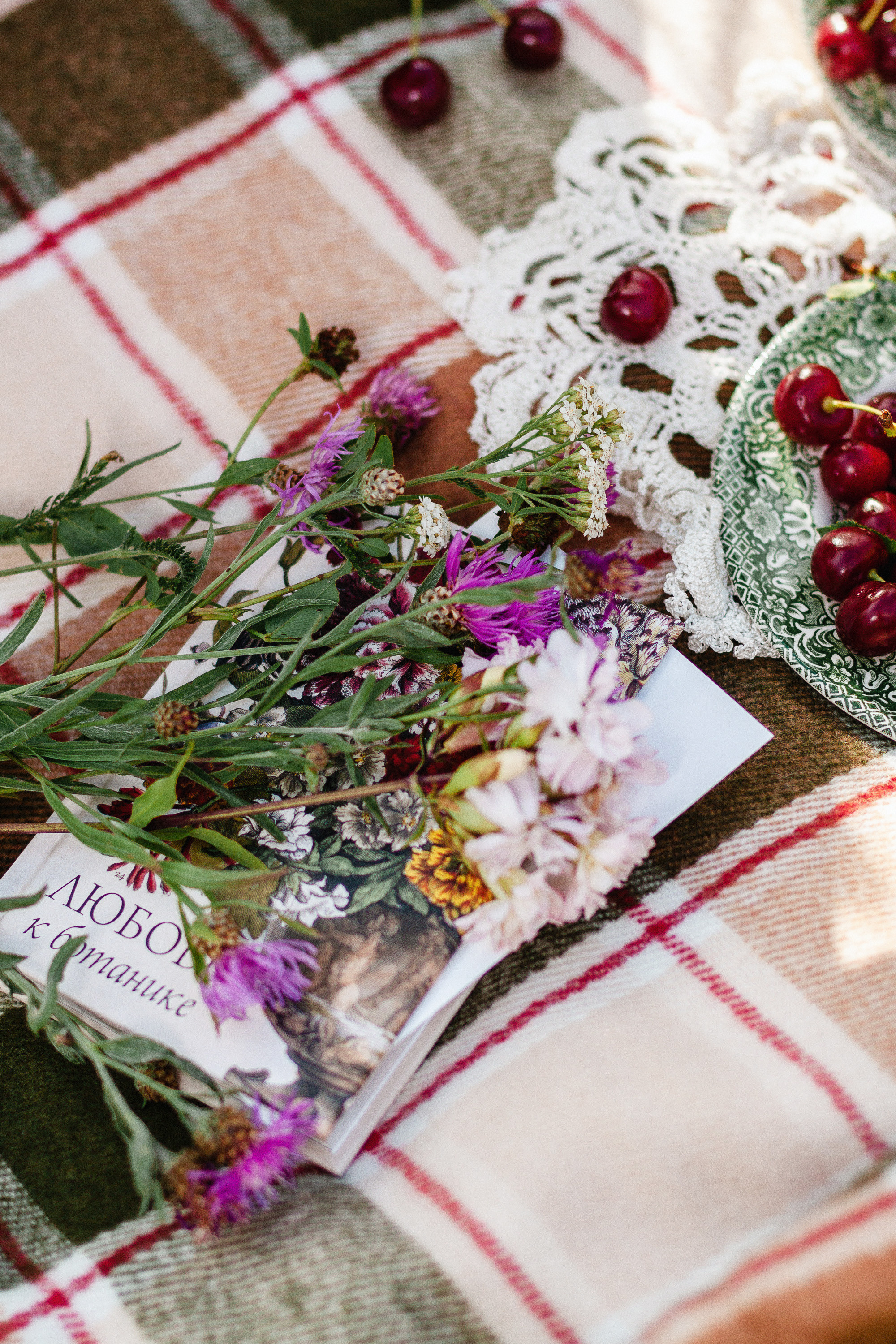 Маша. Пикник в первомайской роще. Артем Ершов. Фотограф, Тверь