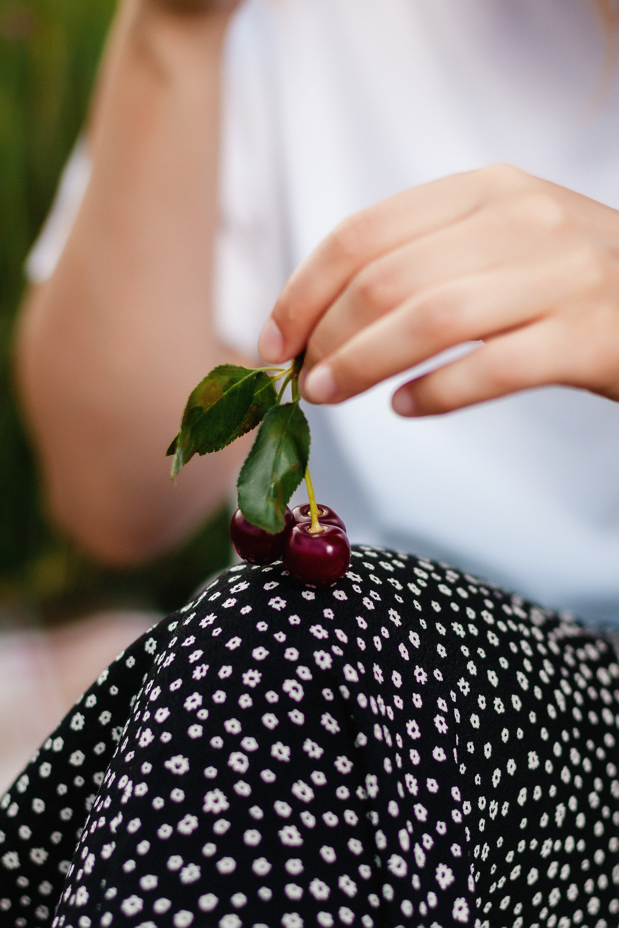 Маша. Пикник в первомайской роще. Артем Ершов. Фотограф, Тверь