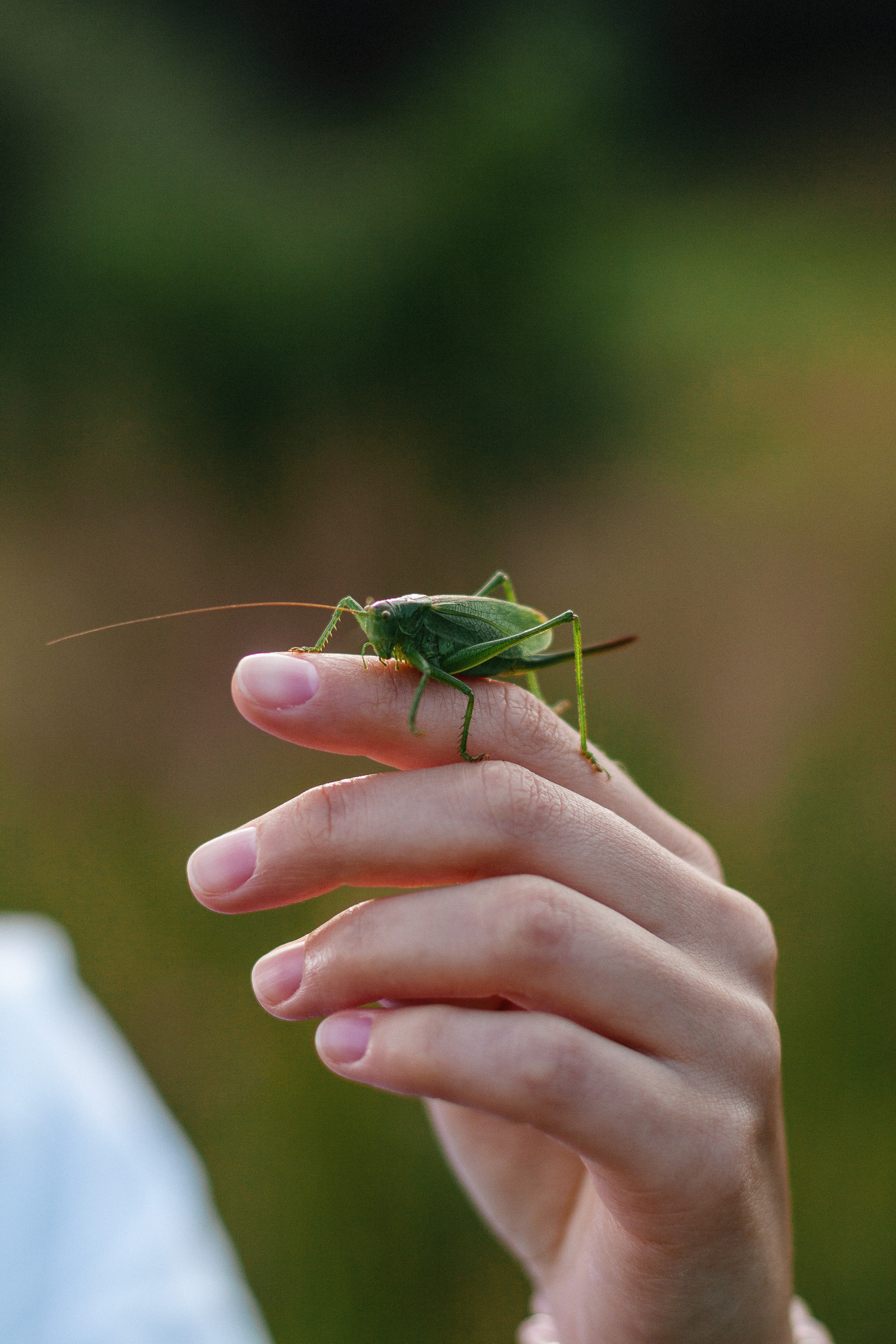Маша. Пикник в первомайской роще. Артем Ершов. Фотограф, Тверь