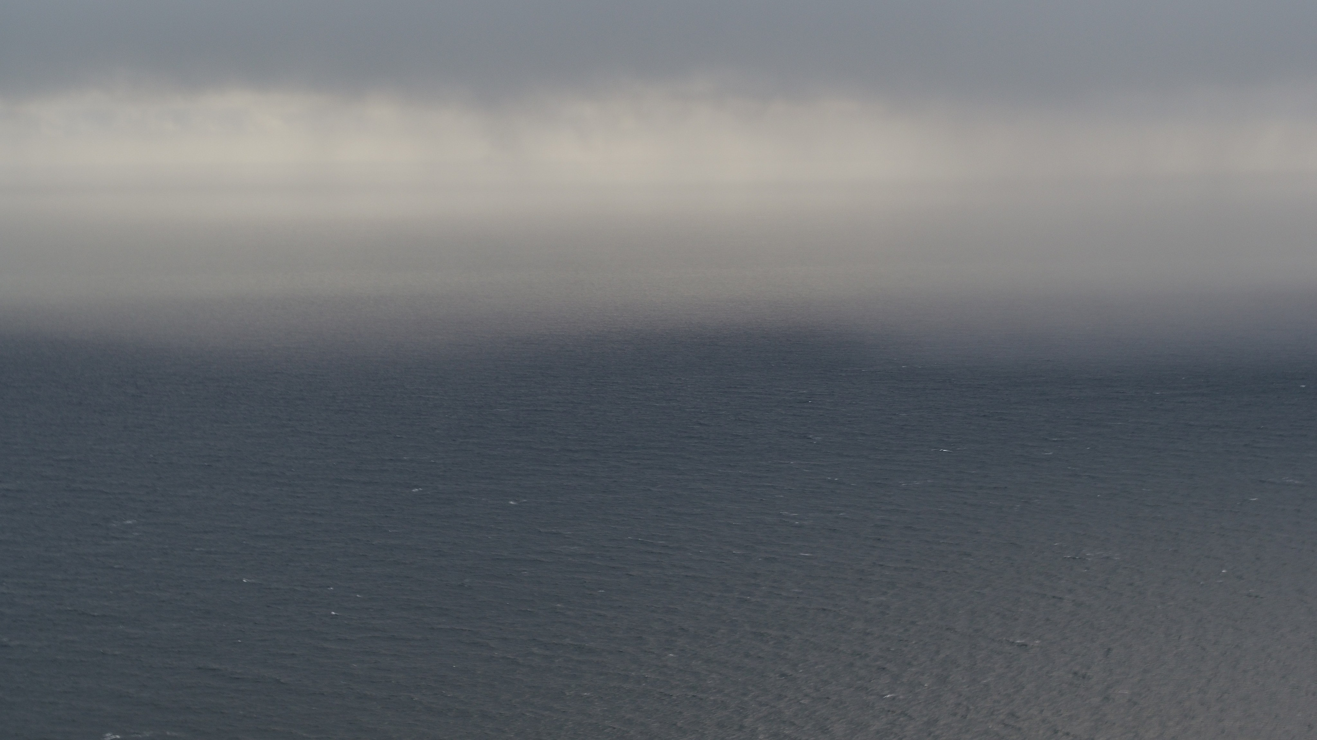 Амдерма — наука (2020 г.). Фотоальбом показывающий увлекательный мир авиации и мир медведей Андрея Иванова