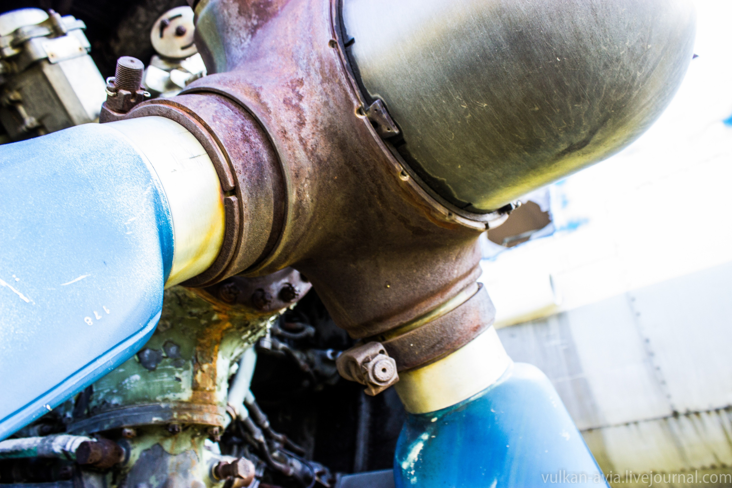 Ил-14 (Пермь, Фролы). Фотоальбом показывающий увлекательный мир авиации и мир медведей Андрея Иванова