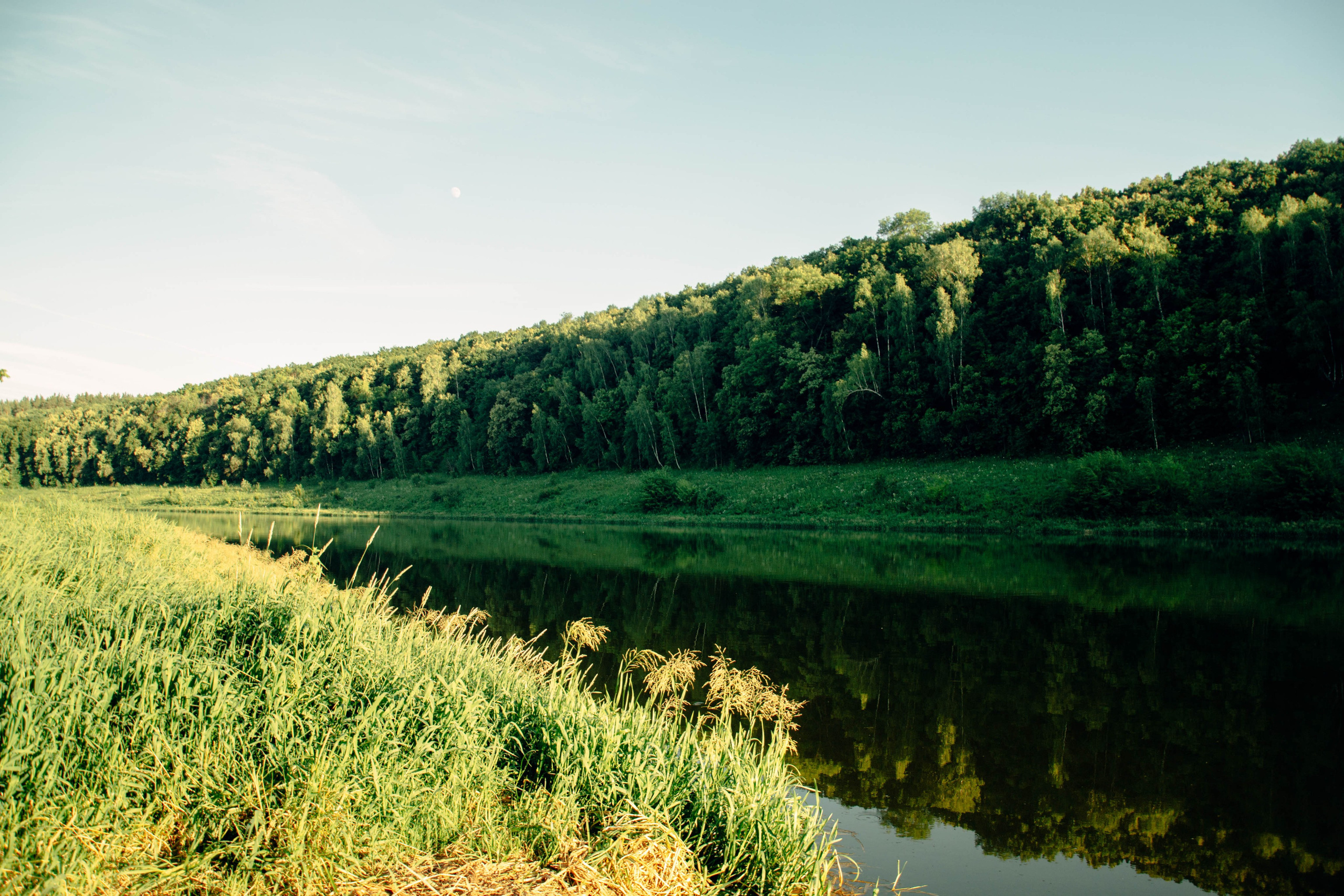 Дон. Главная