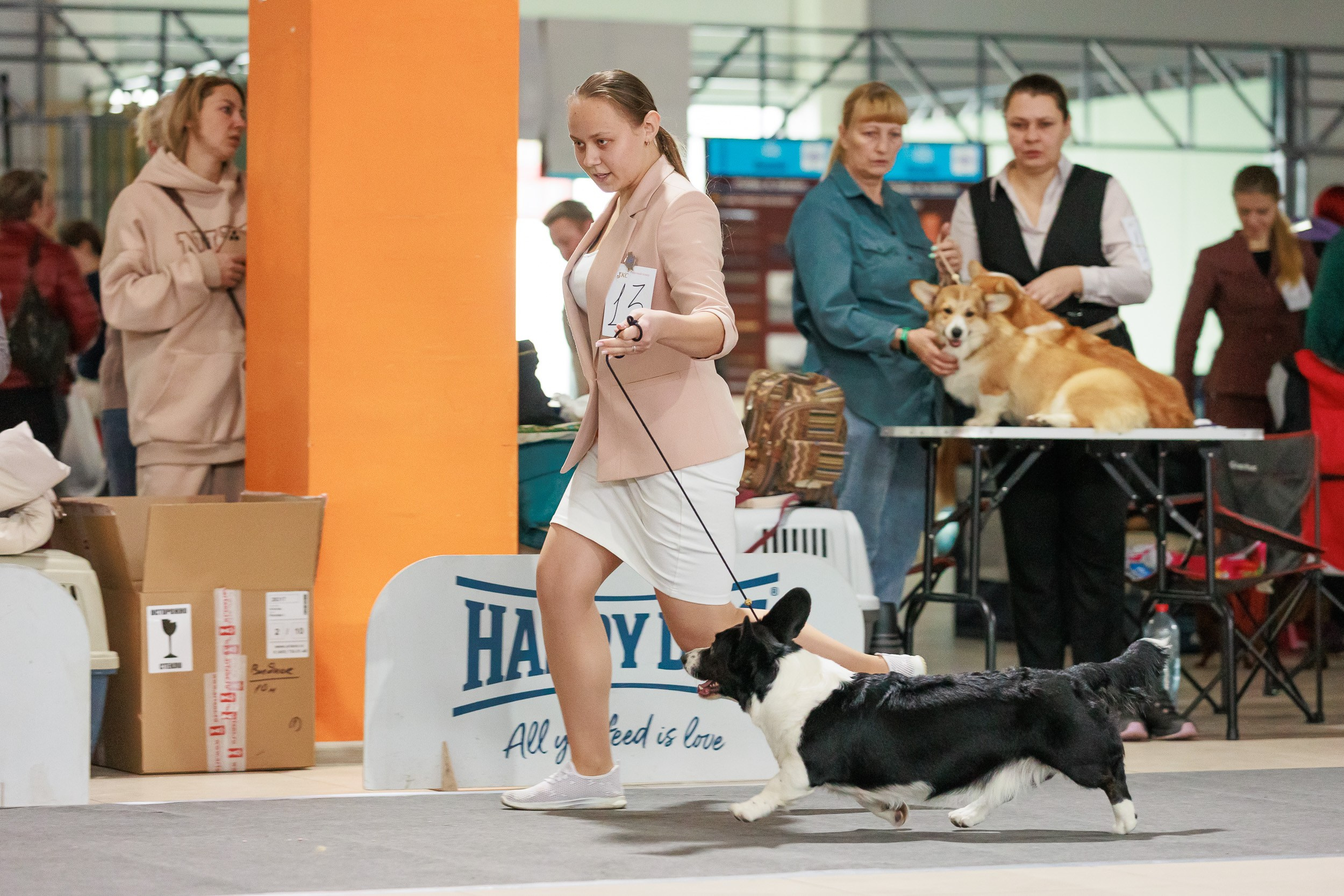 Бронницы. Фотограф анималист, семейный фотограф, фотограф собак Комратова Мария. г. Москва