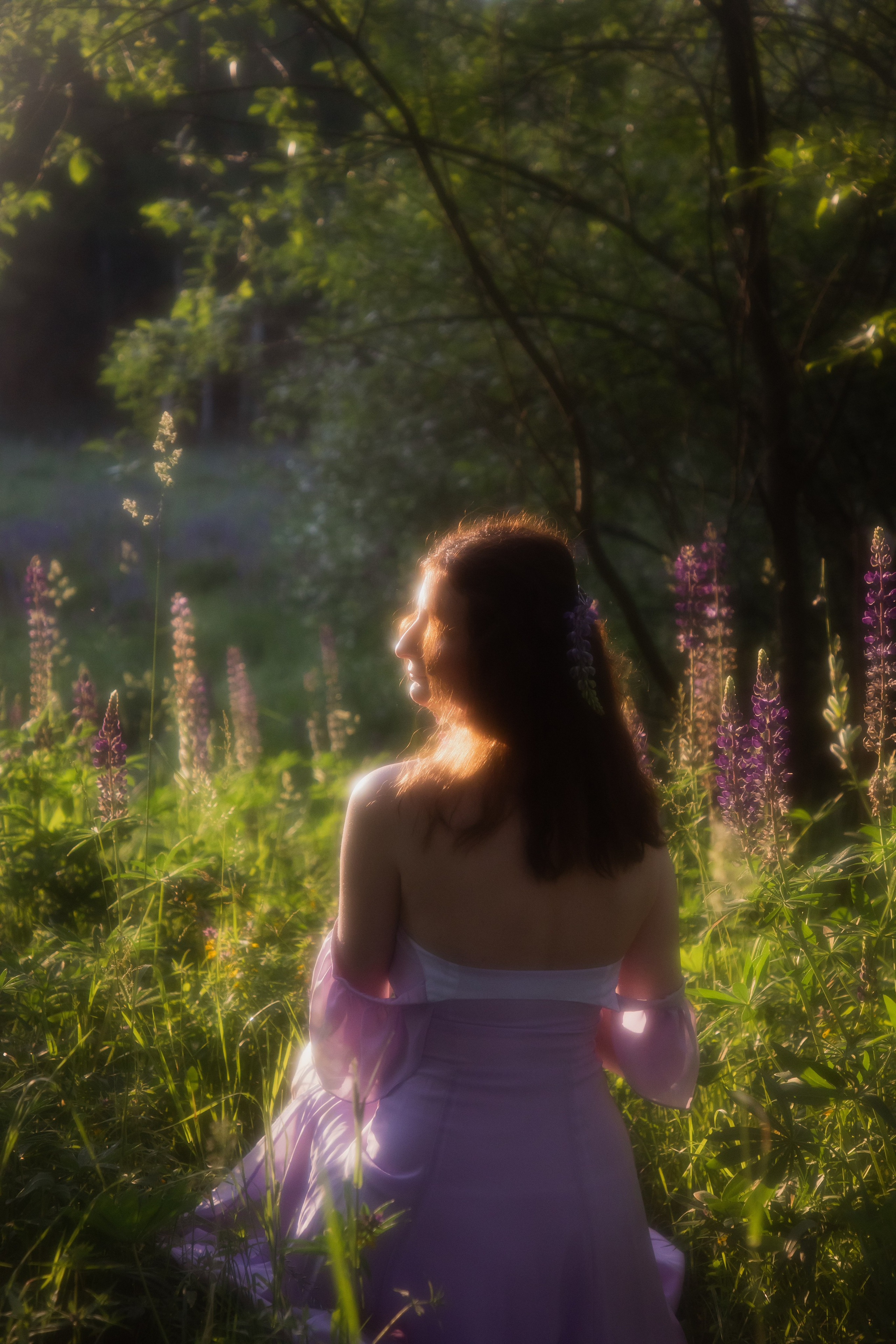 Люпиновое поле. Юлия Башкатова, сказочный фотограф, Москва