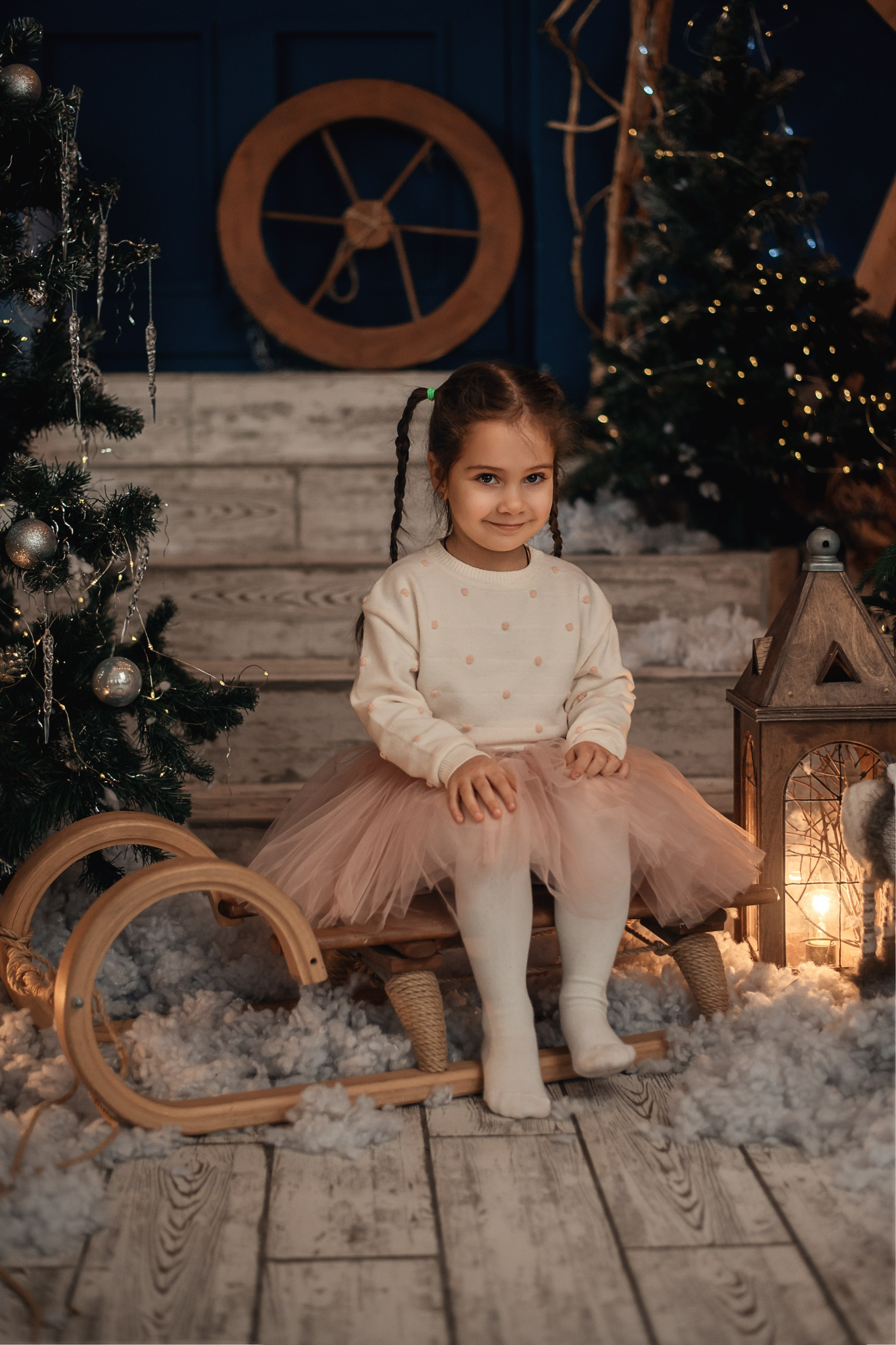 Новогодние фотосессии в Брянске