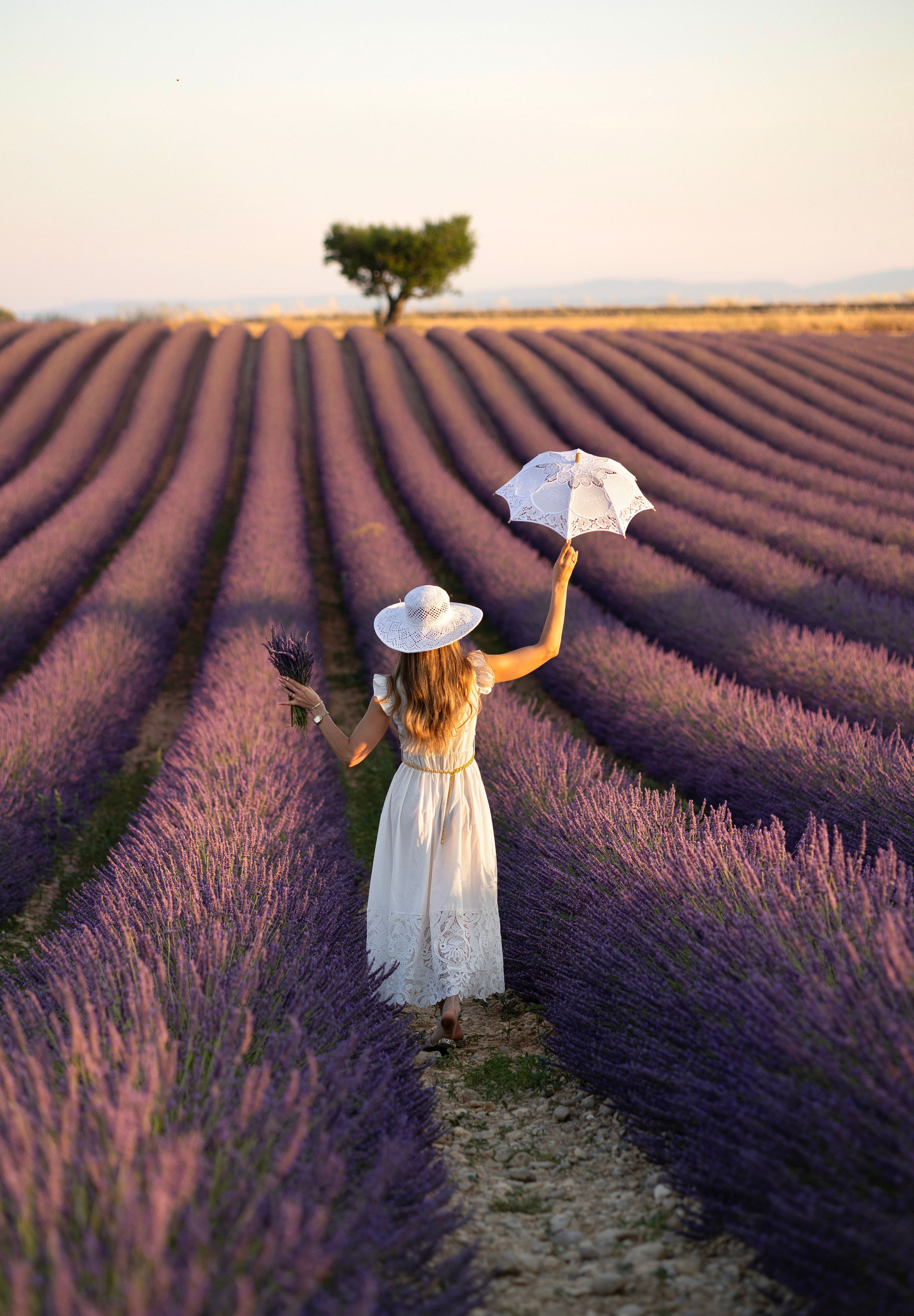 Provence. Photographer in Munich