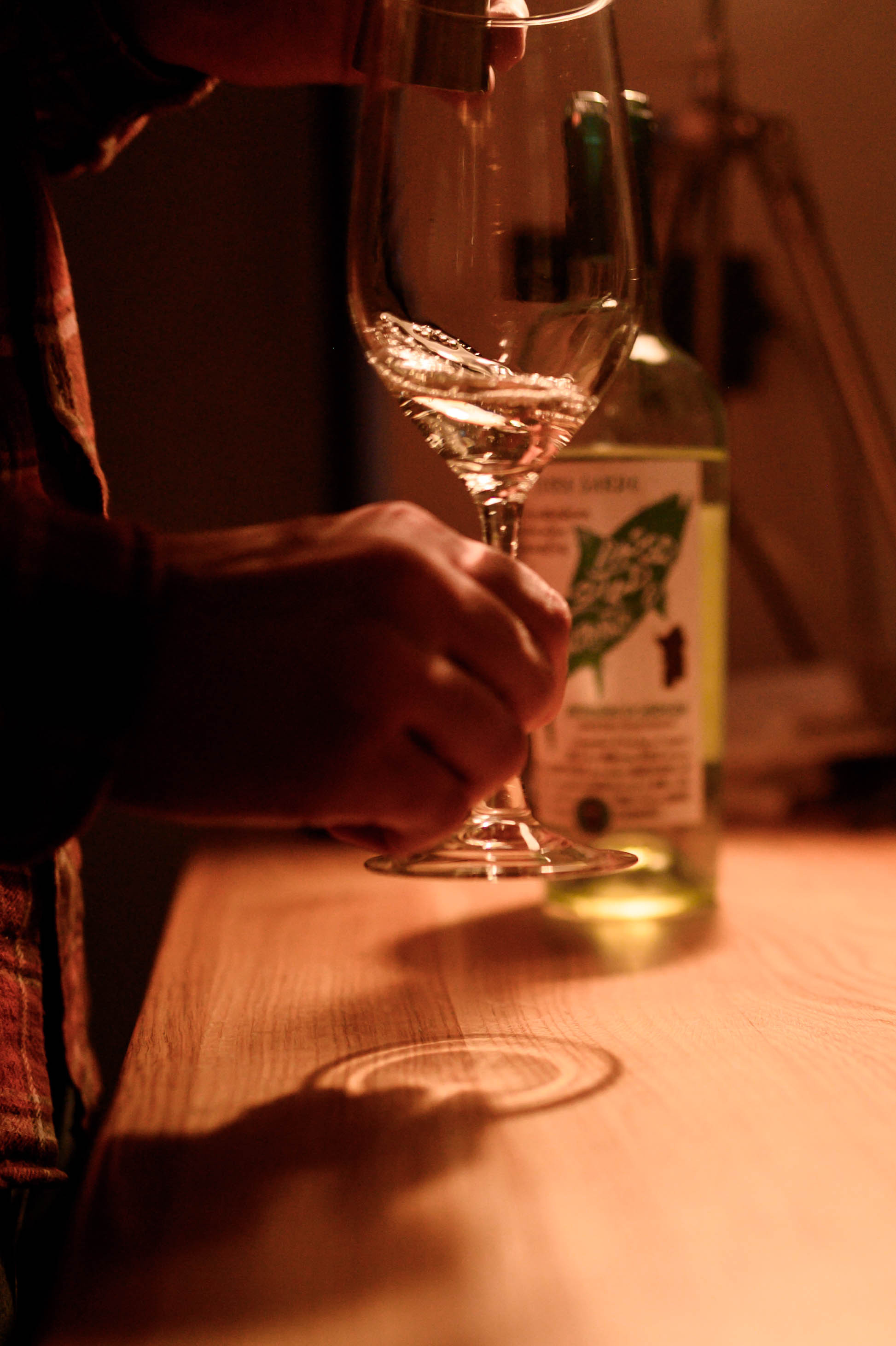 Винная дегустация. Фотограф Светлана Васильева