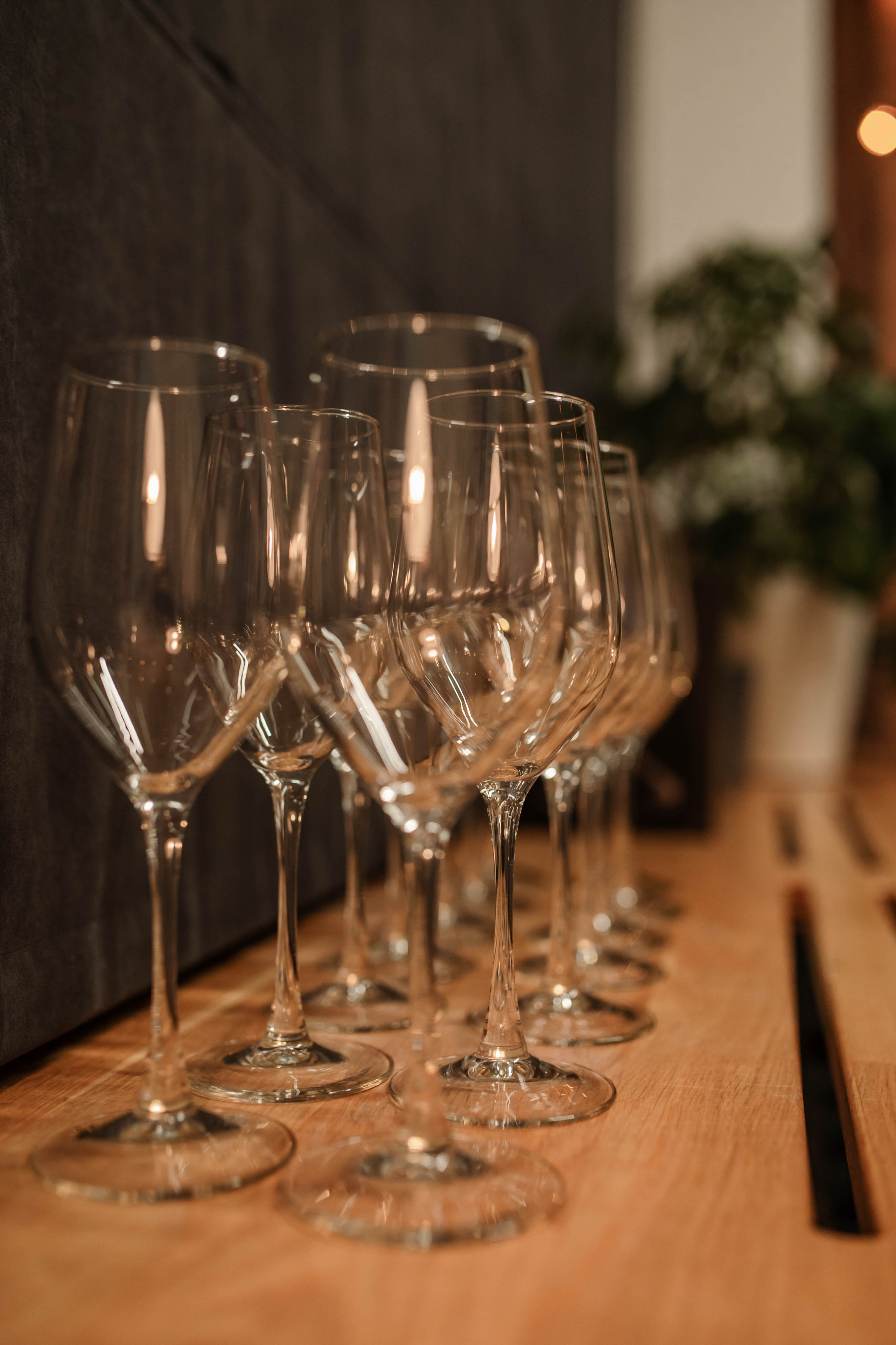 Винная дегустация. Фотограф Светлана Васильева