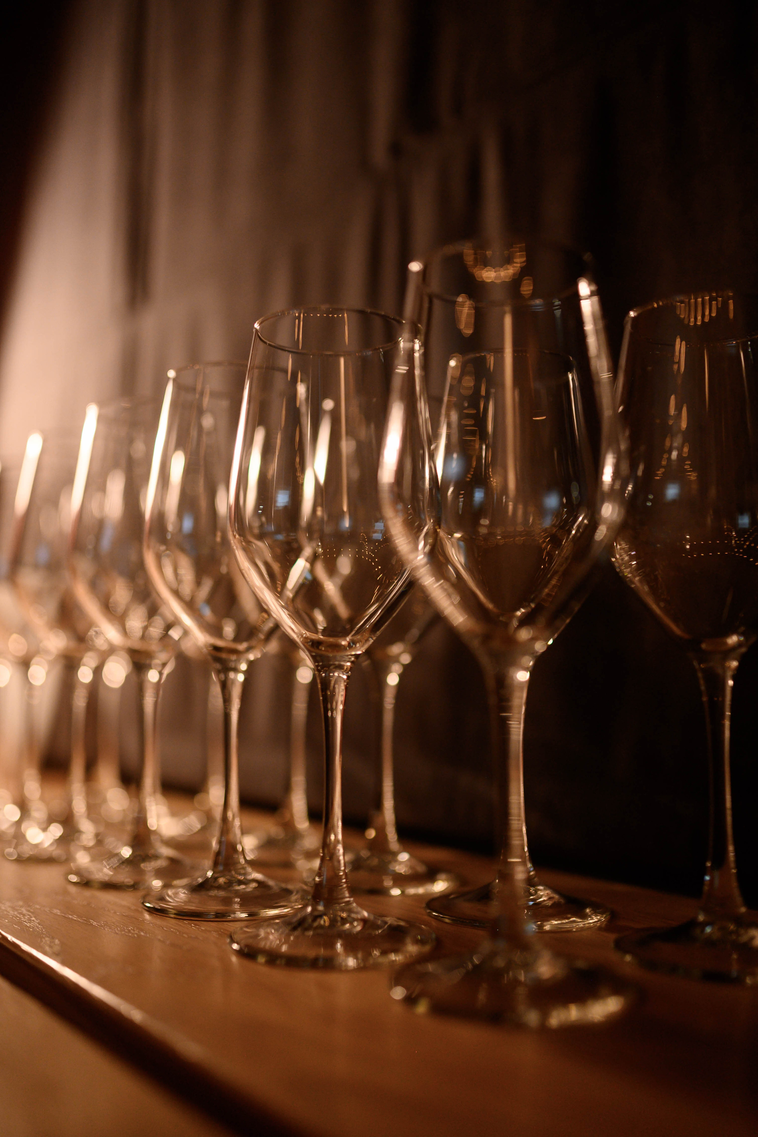 Винная дегустация. Фотограф Светлана Васильева