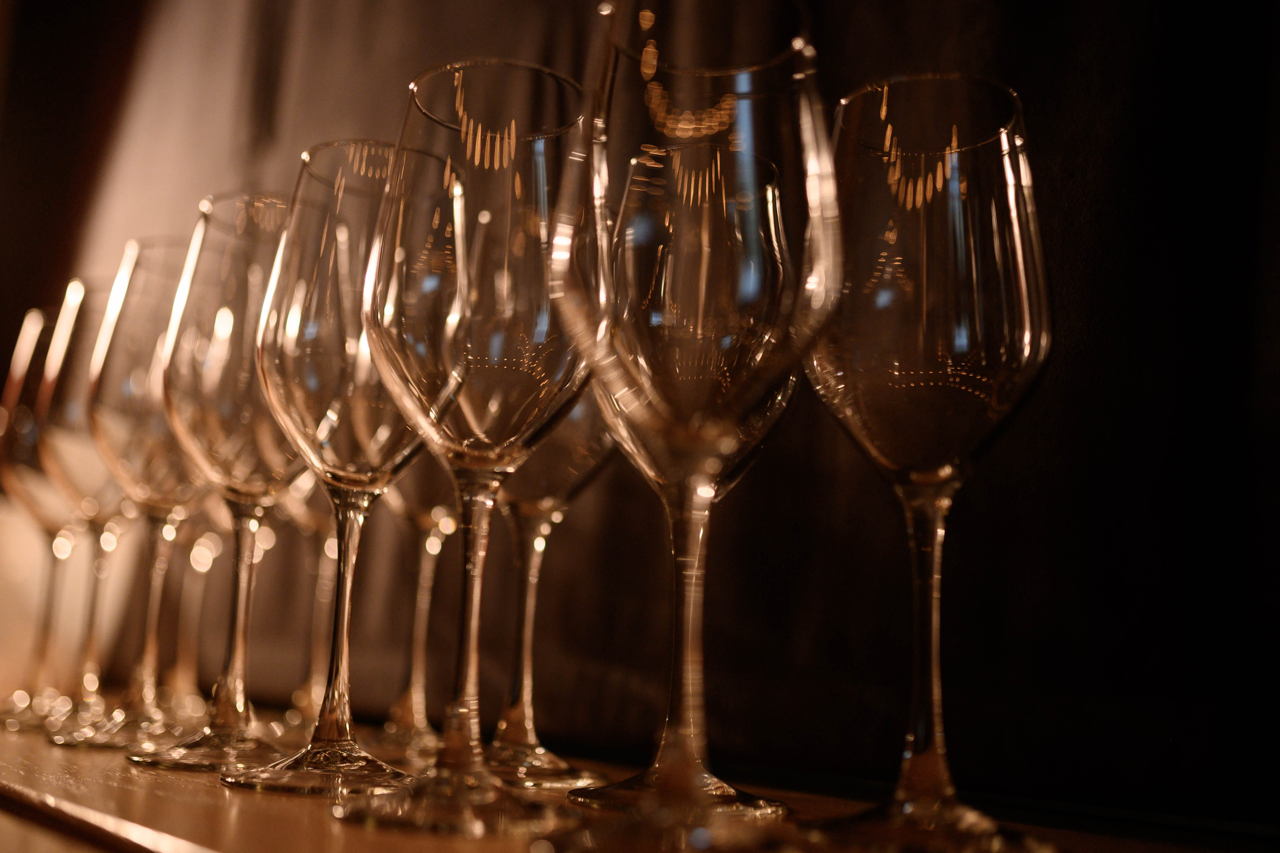 Винная дегустация. Фотограф Светлана Васильева