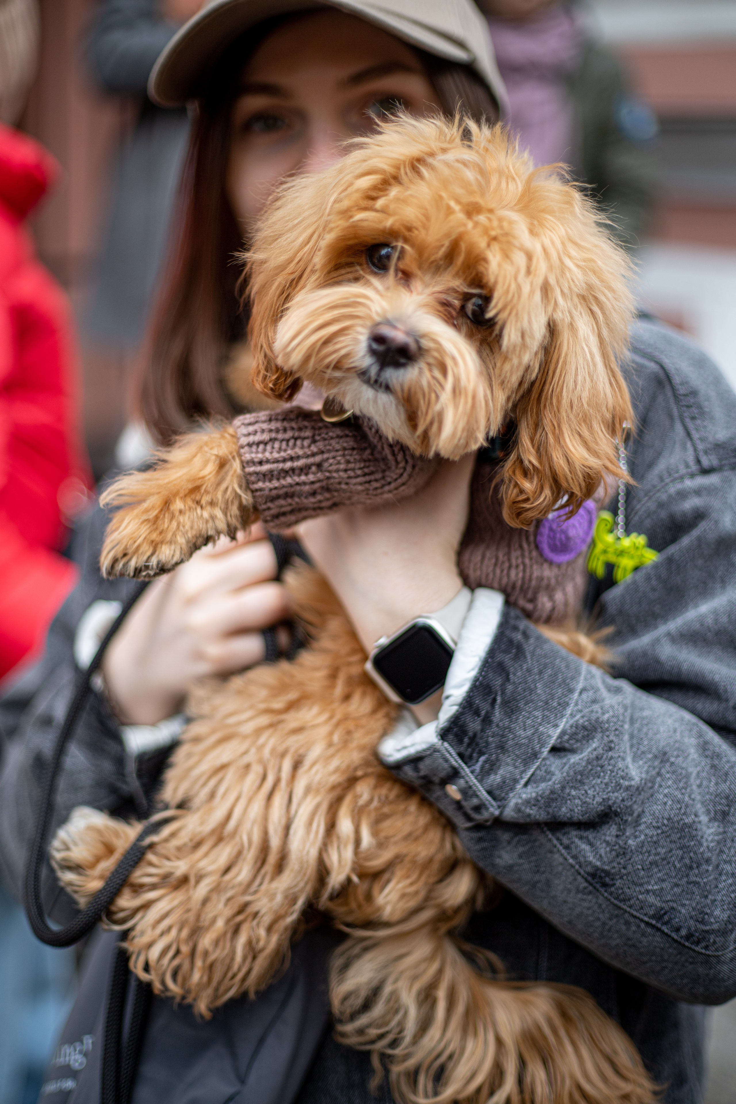 Домашние питомцы. Фотосессии с лошадьми в Москве и МО
