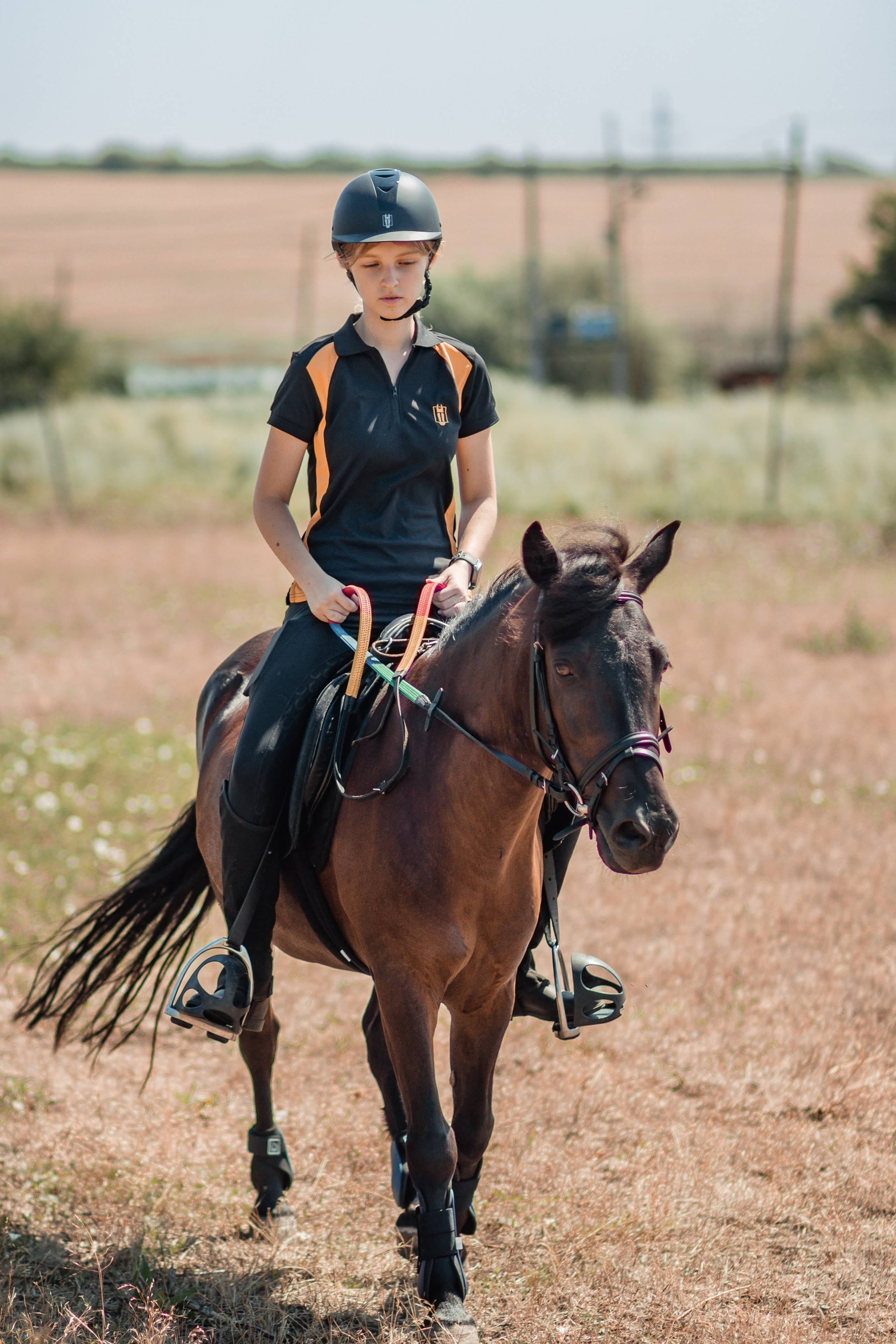 Выезды в поля на лошади