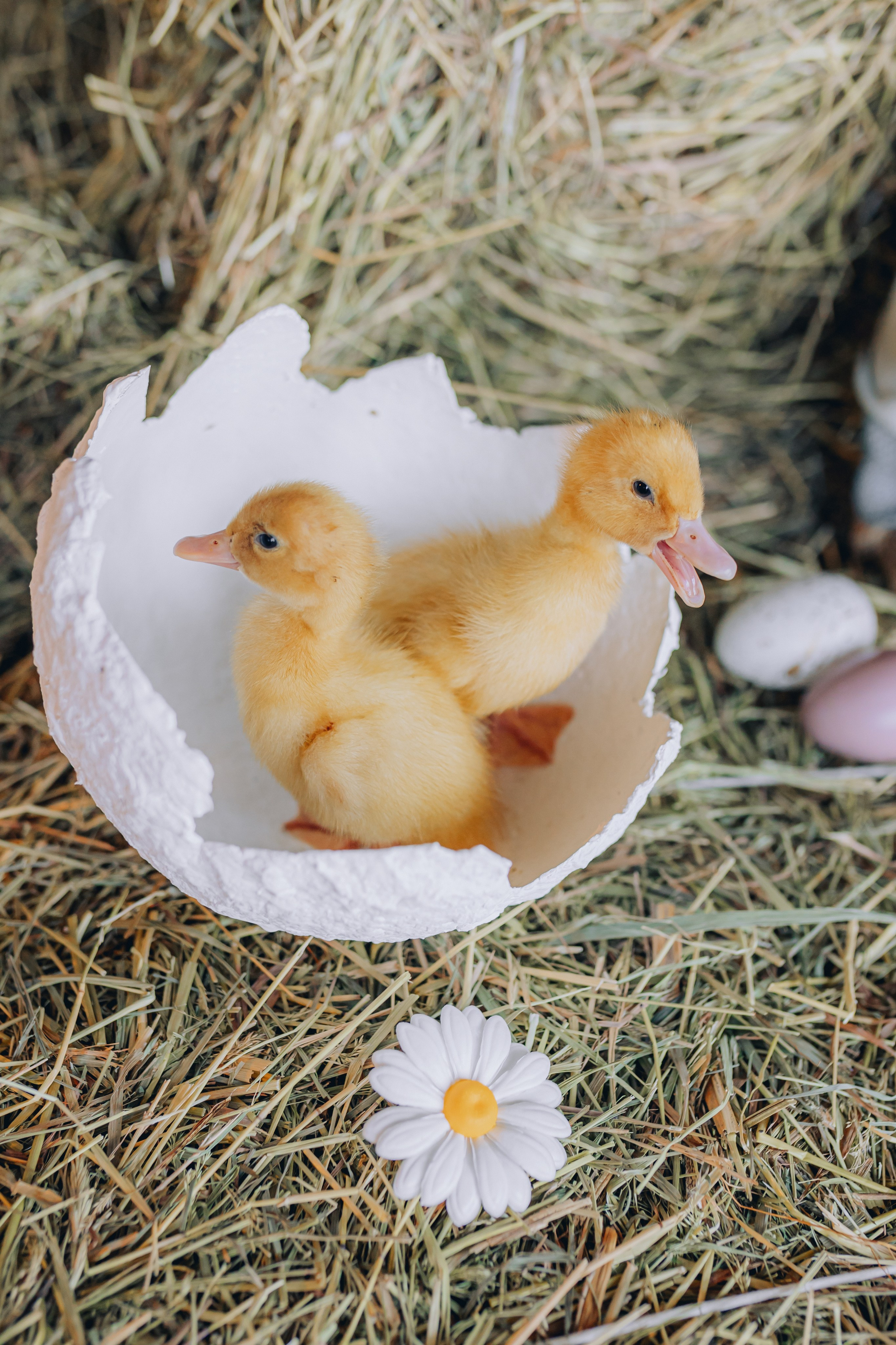 ETO Studio — фотостудия в Минске. Понравилась студия? Напишите — организую съёмку именно здесь. Фотограф в Минске Людмила Дутко