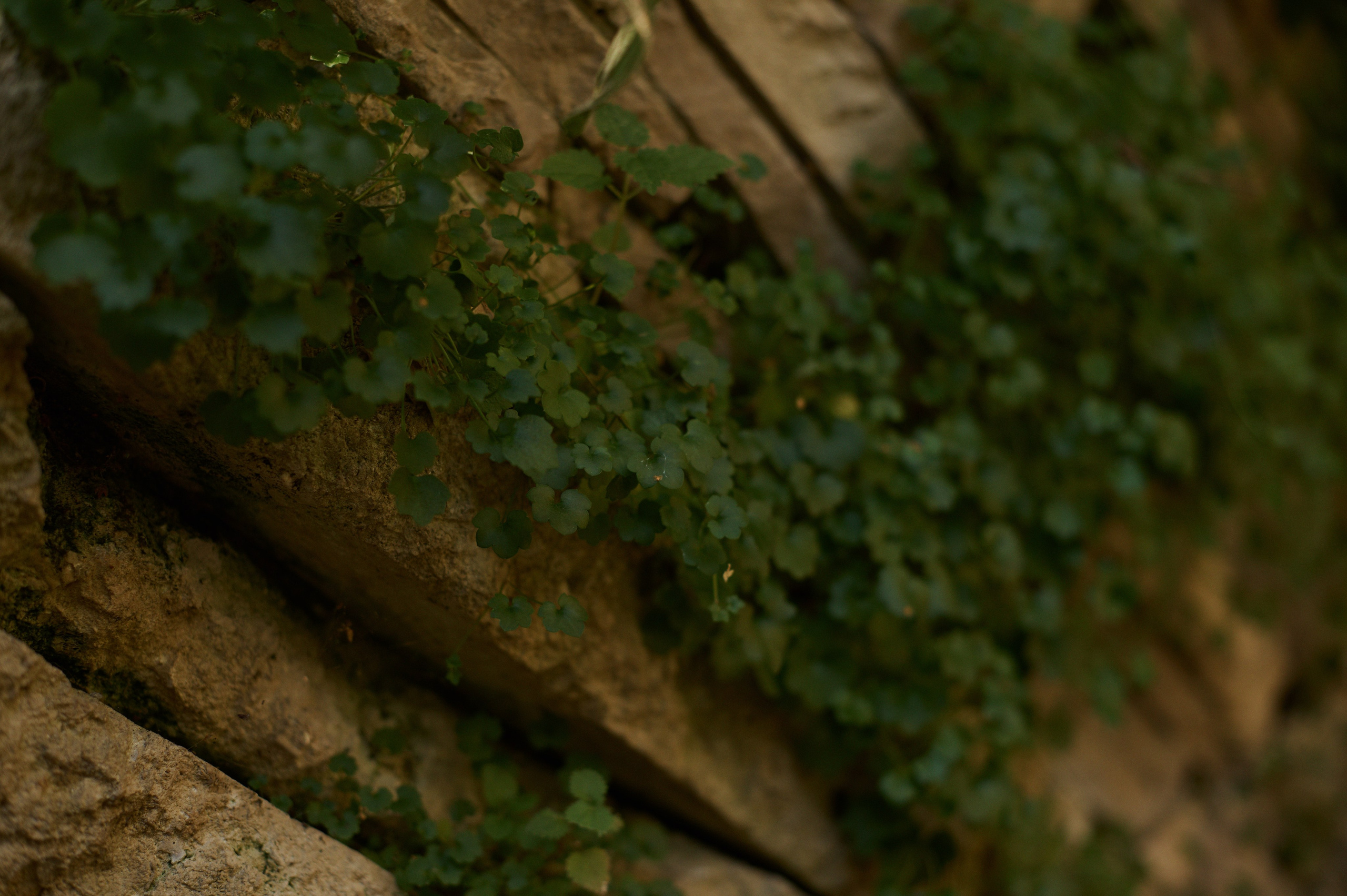 Молоды и свободны. Фотограф Евгения Пронькина