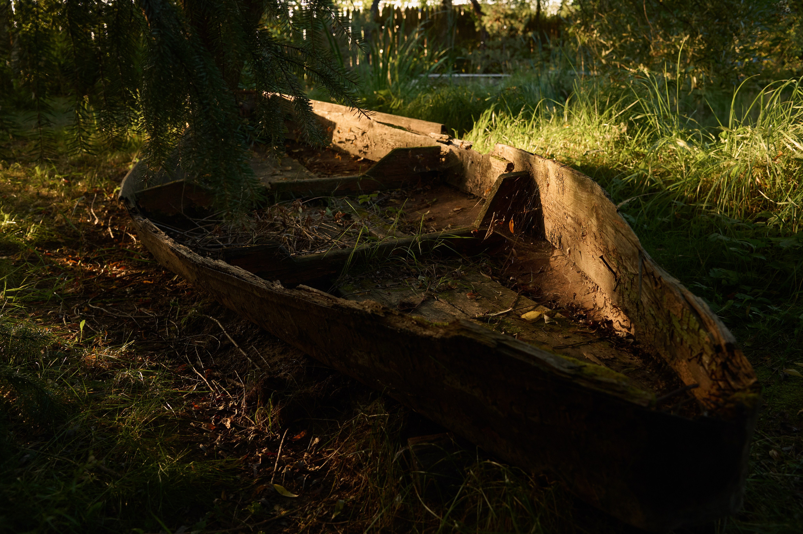 Молоды и свободны. Фотограф Евгения Пронькина