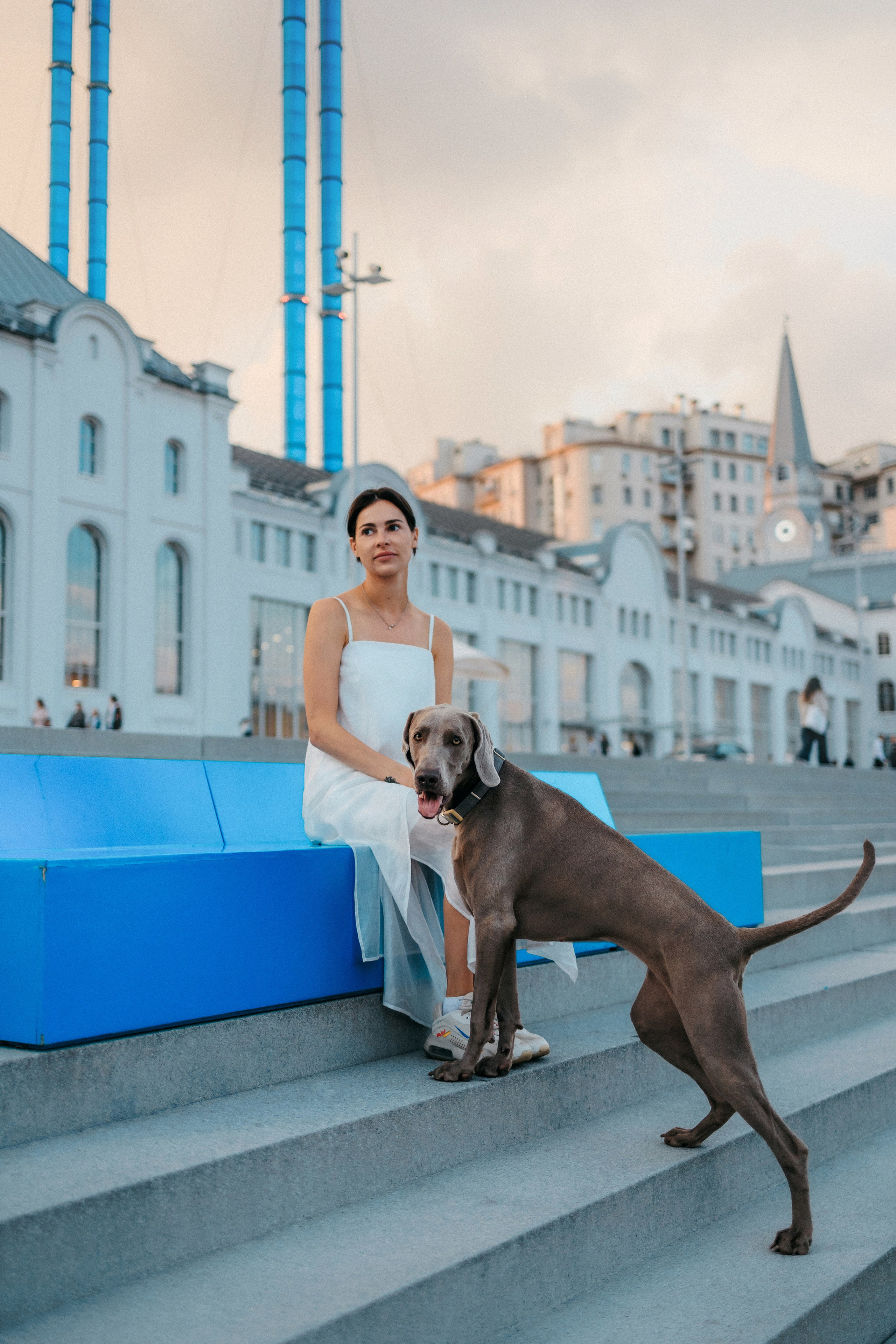 Соня и Майли. Фотограф-анималист Елена Радченко, Москва