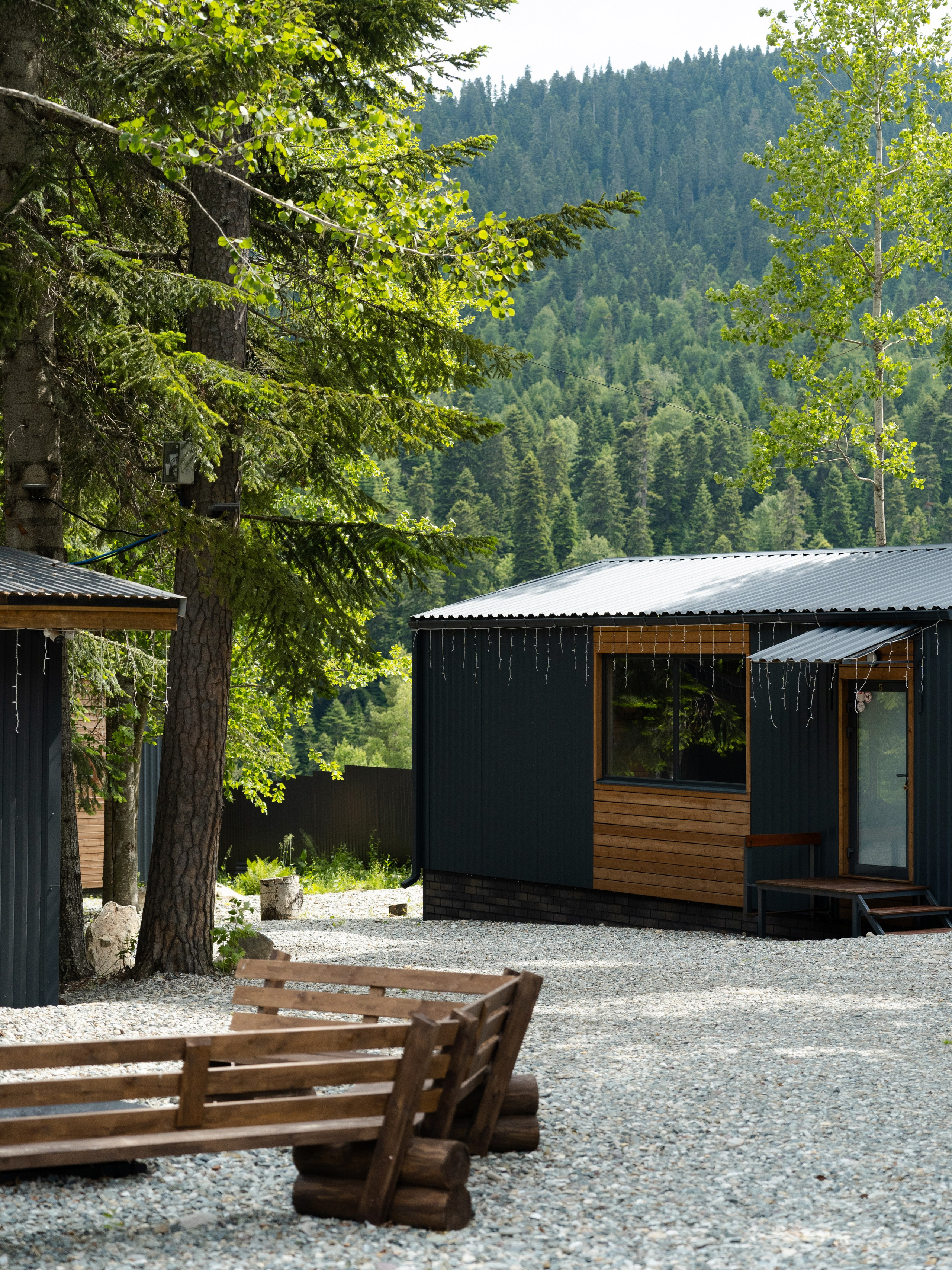 SkyWood. Фотограф и видеограф Елена Хмелевская