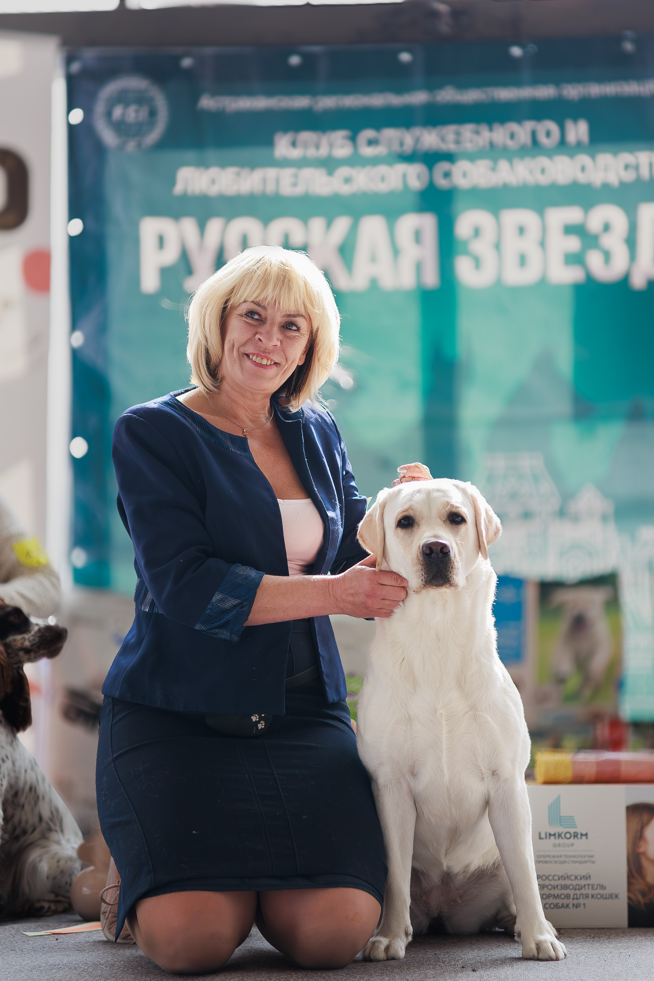 Выставки. Фотограф Марк Файзулин