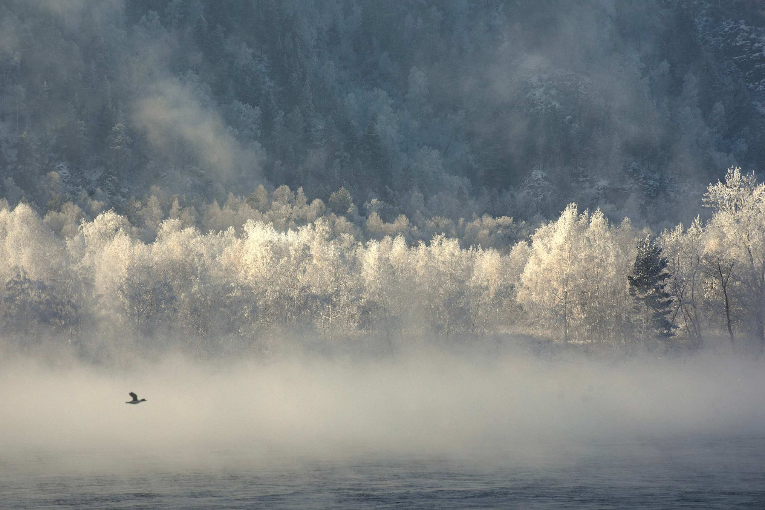 Пейзажная съемка. Фотограф в Саяногорске, Абакане Владимир Воробьев