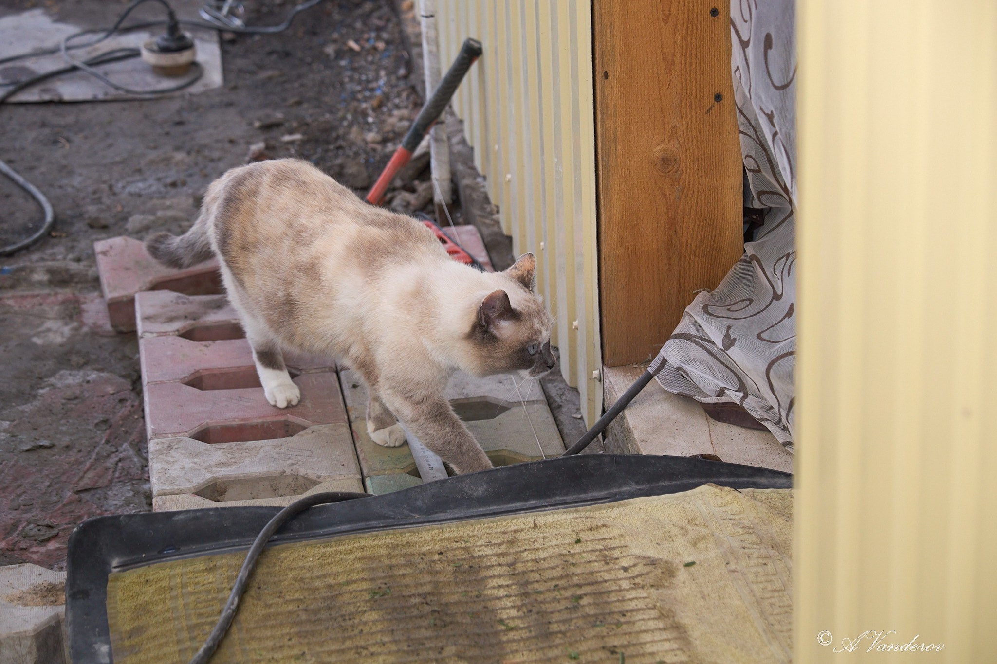 Село Савкино Баганского района Новосибирской области. Фотограф Омск | Александр Вандеров