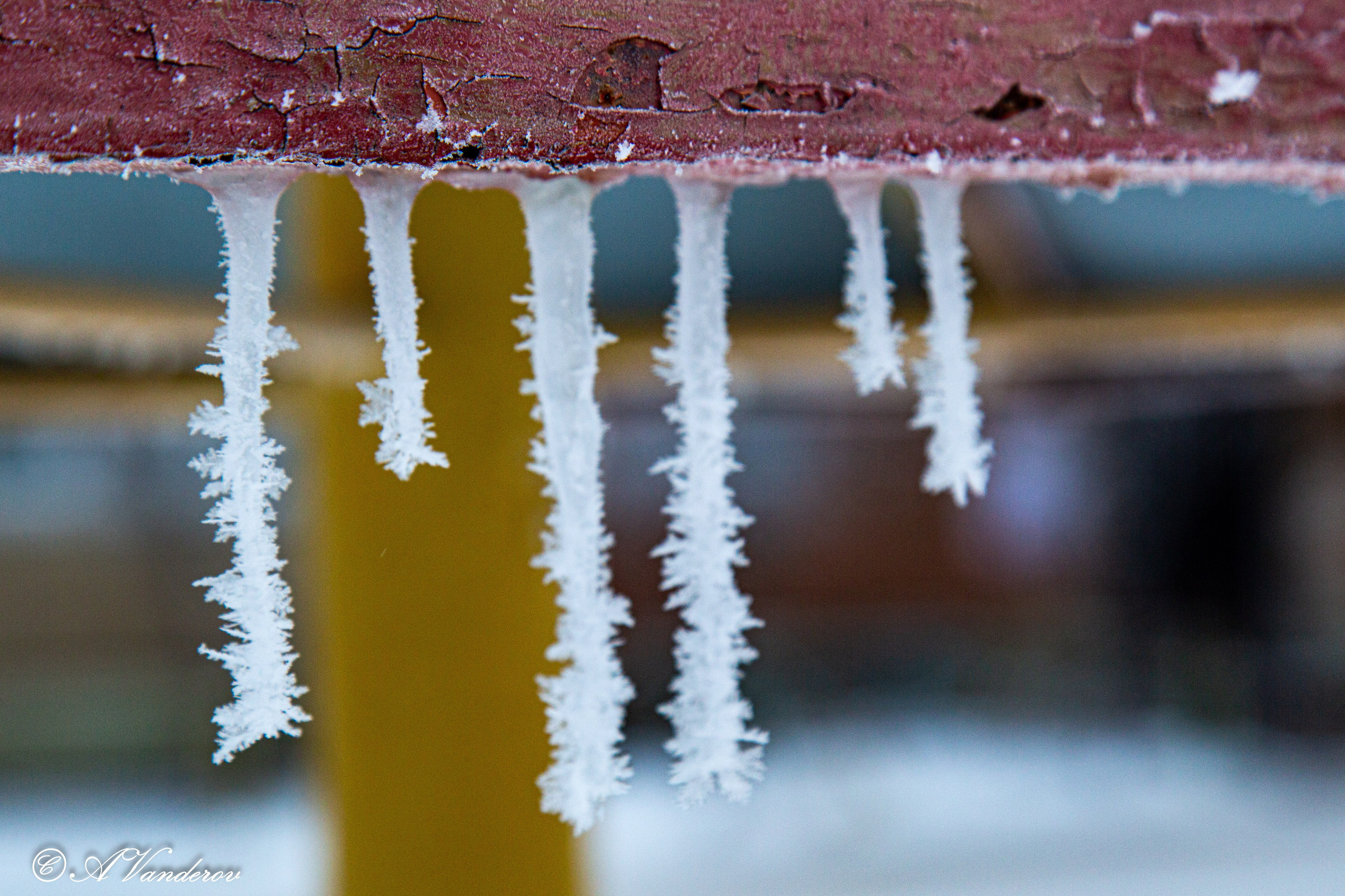 Красота природы. Фотограф Омск | Александр Вандеров
