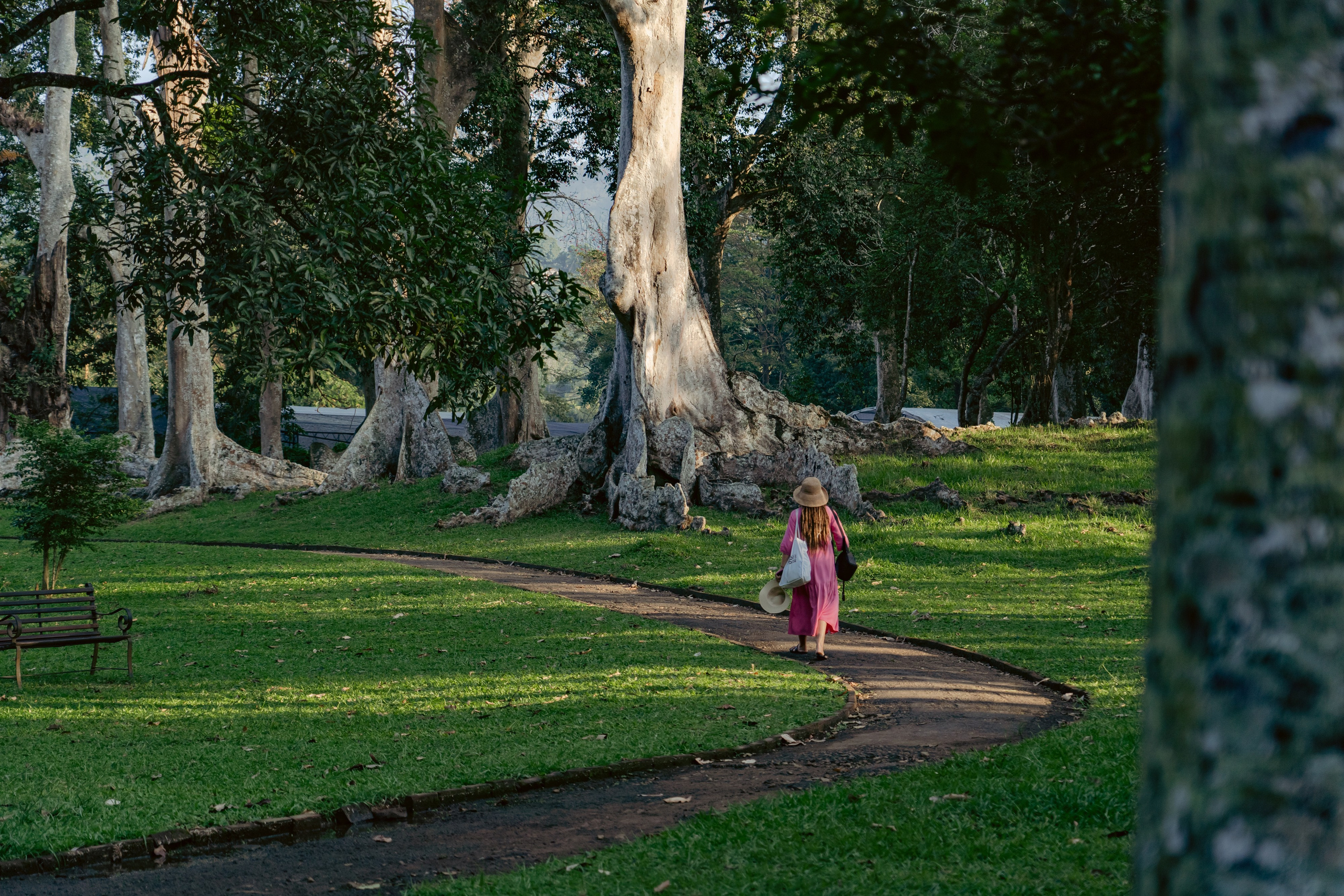 Promo content shooting for Ceylon Forward Tours