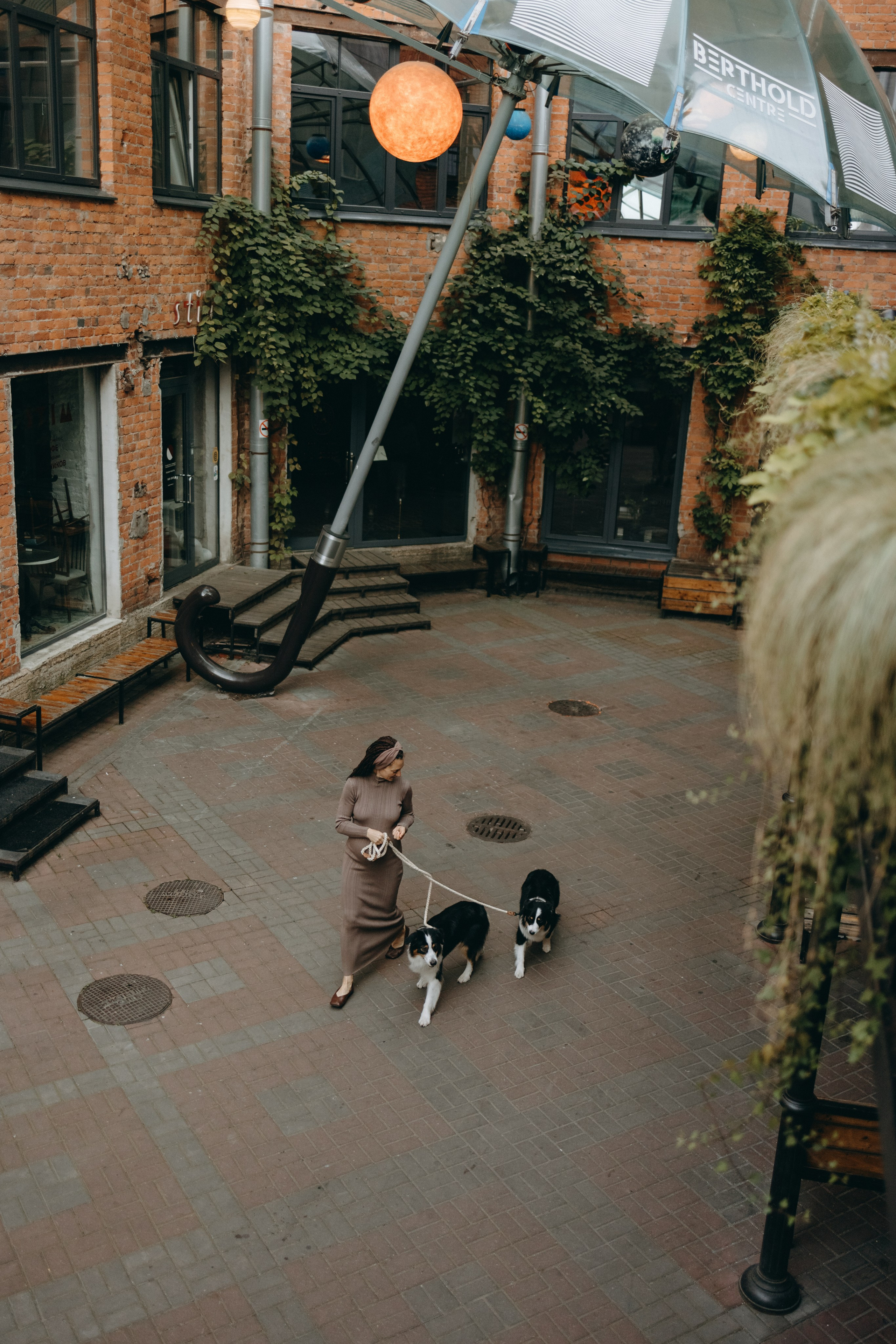 Катя и ее девочки. Фотограф — Анималист | Санкт-Петербург