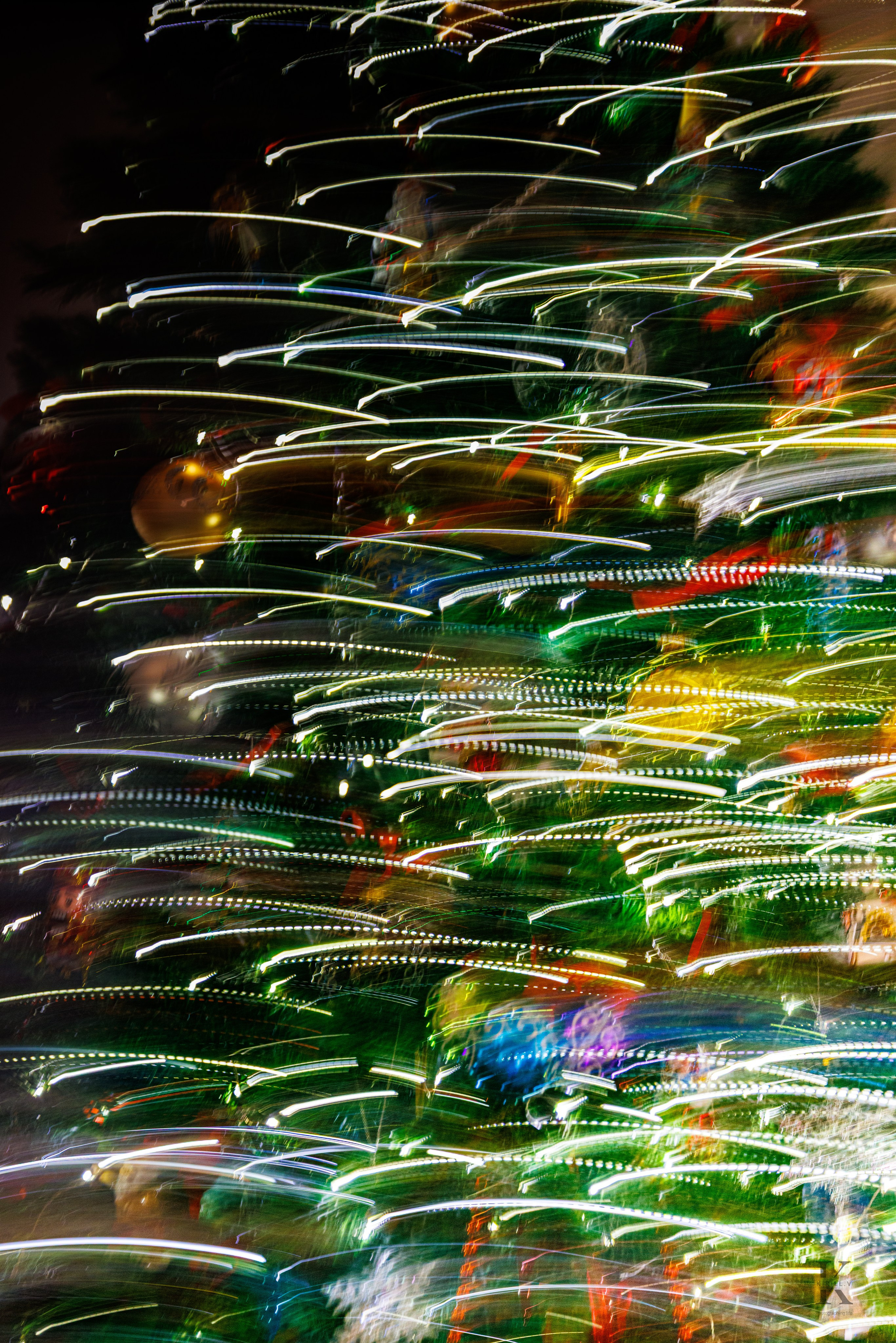 Природа 31 Декабря 2025 года. Клены. Фотографирую жизнь! Московский фотограф волонтер