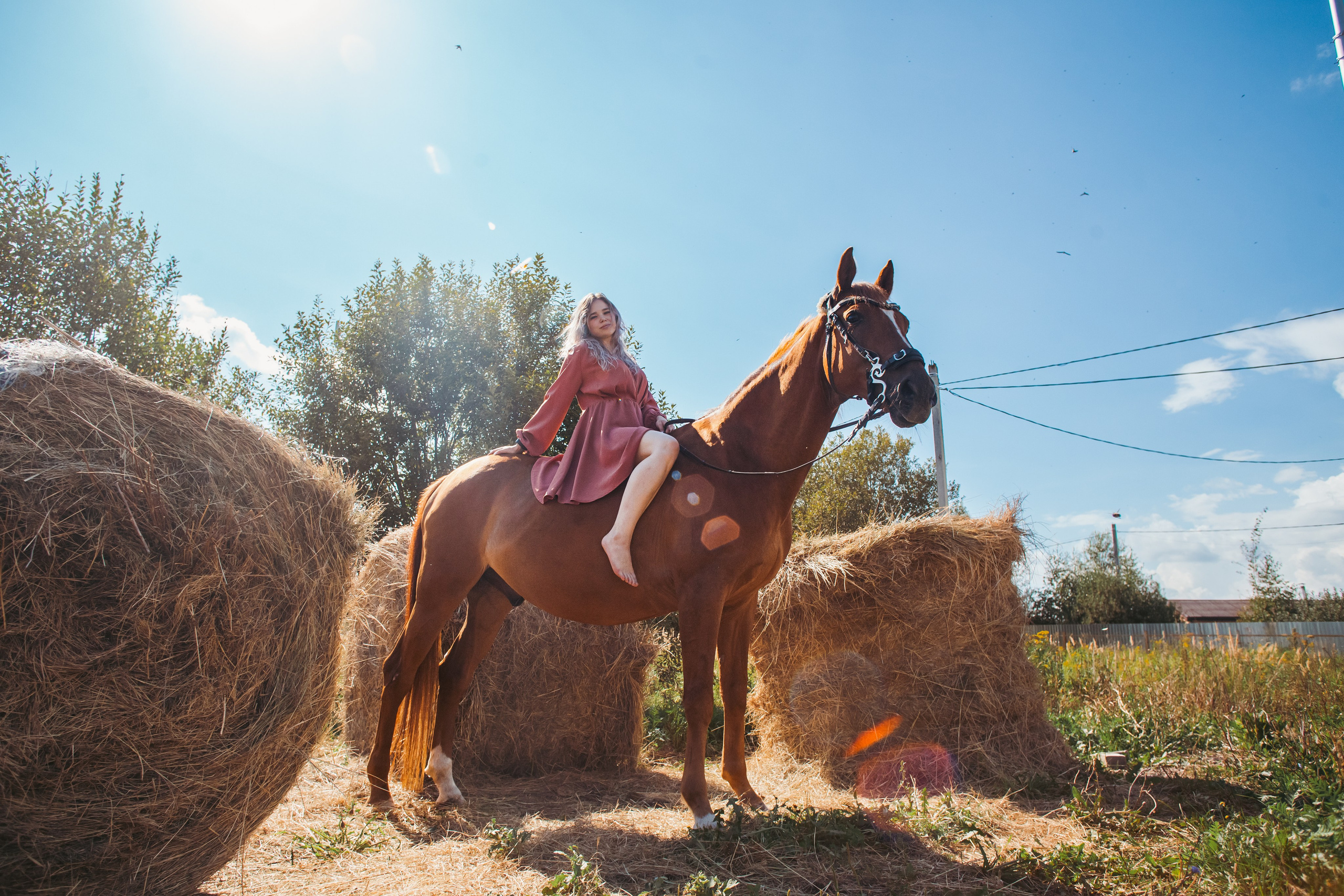 Экспресс фотопрогулка на конюшне. Фотограф-анималист Татьяна Степанова